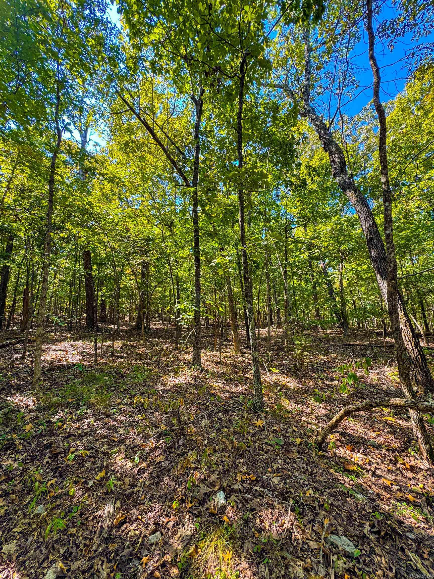 Tbd Red Fox Rd Property Photo 29