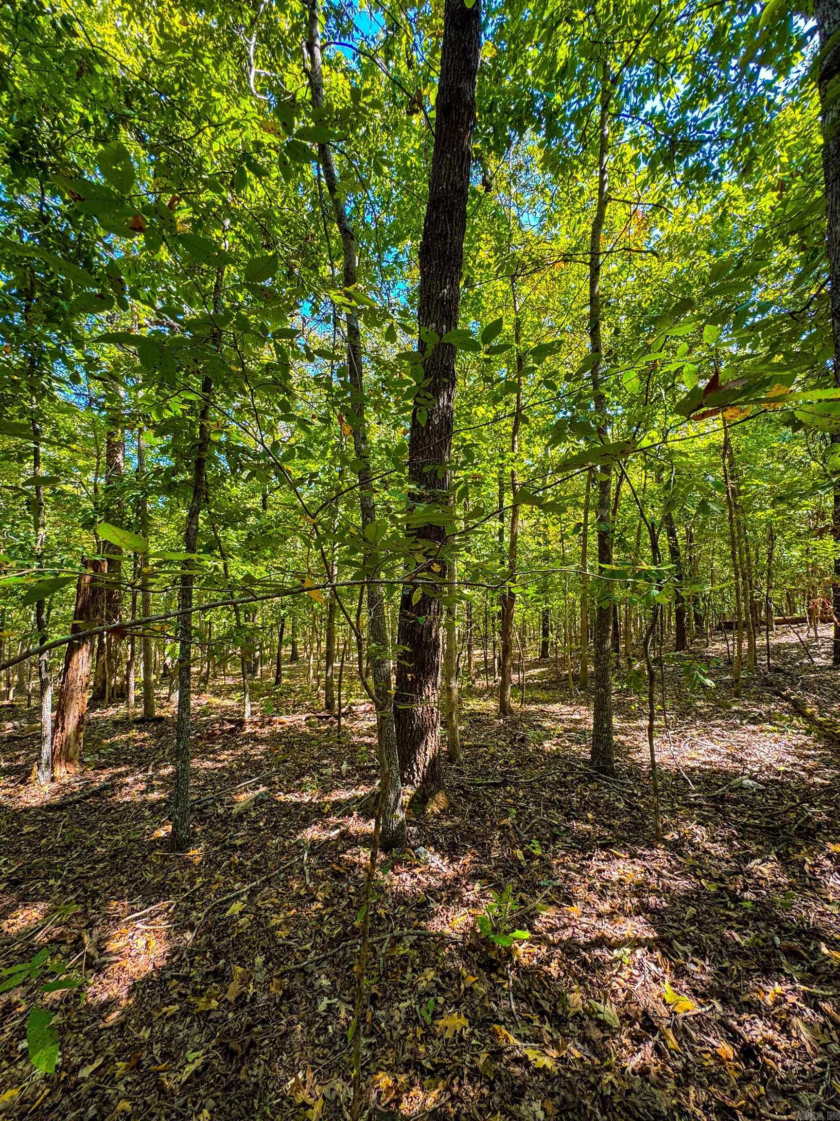Tbd Red Fox Rd Property Photo 30