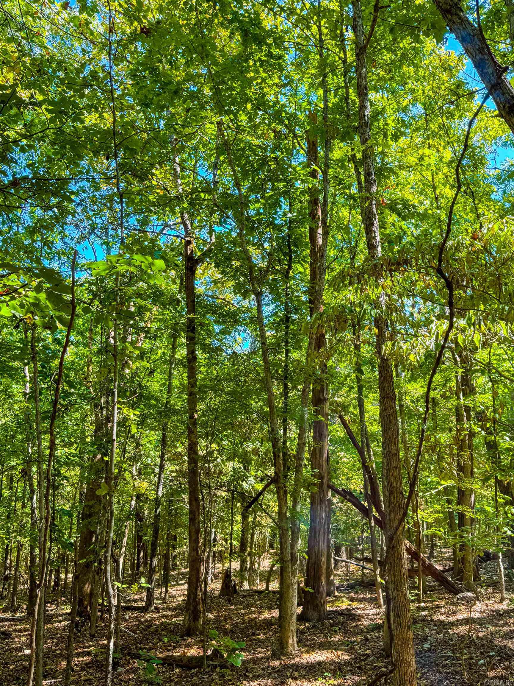 Tbd Red Fox Rd Property Photo 31