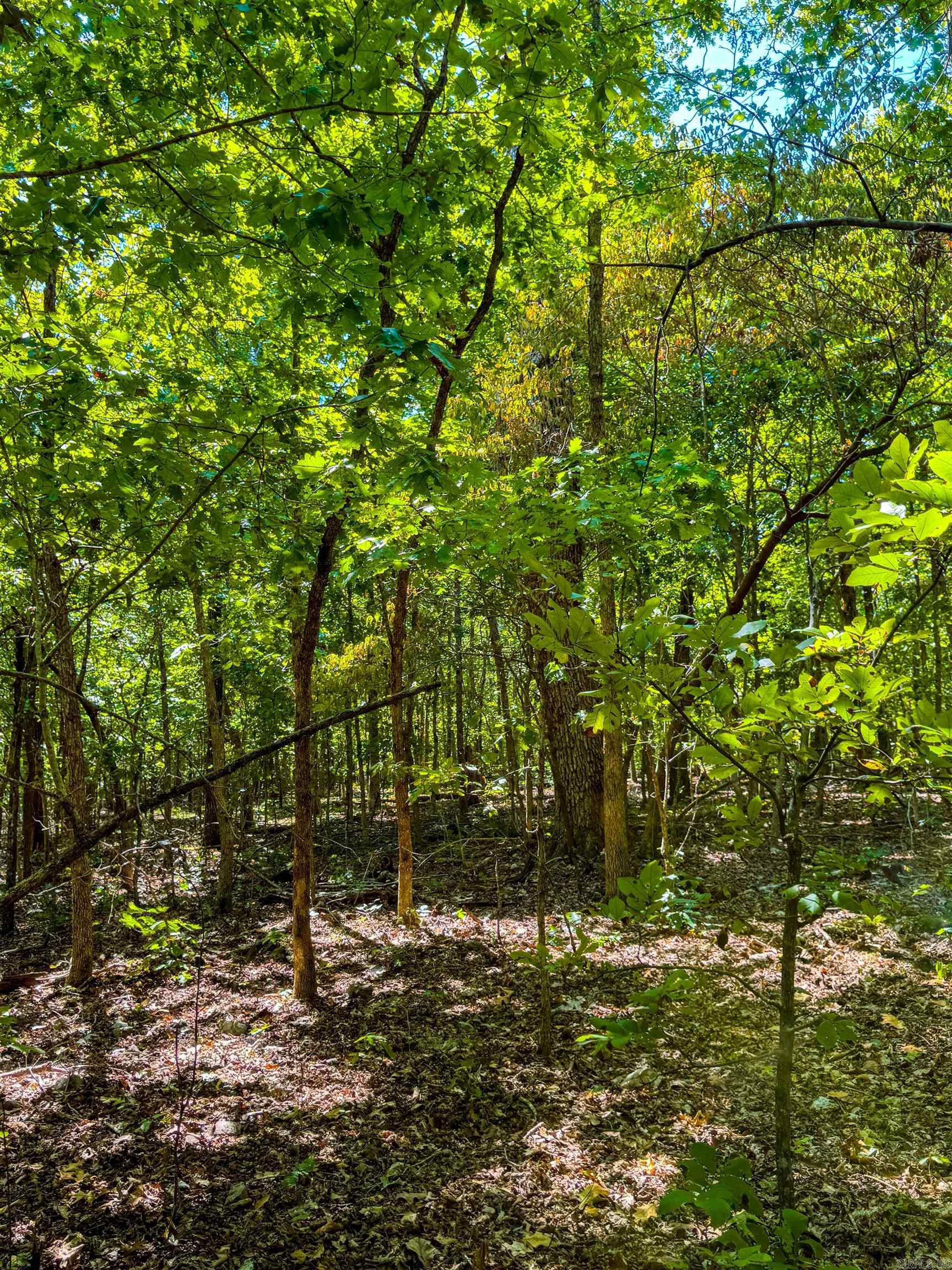 Tbd Red Fox Rd Property Photo 32