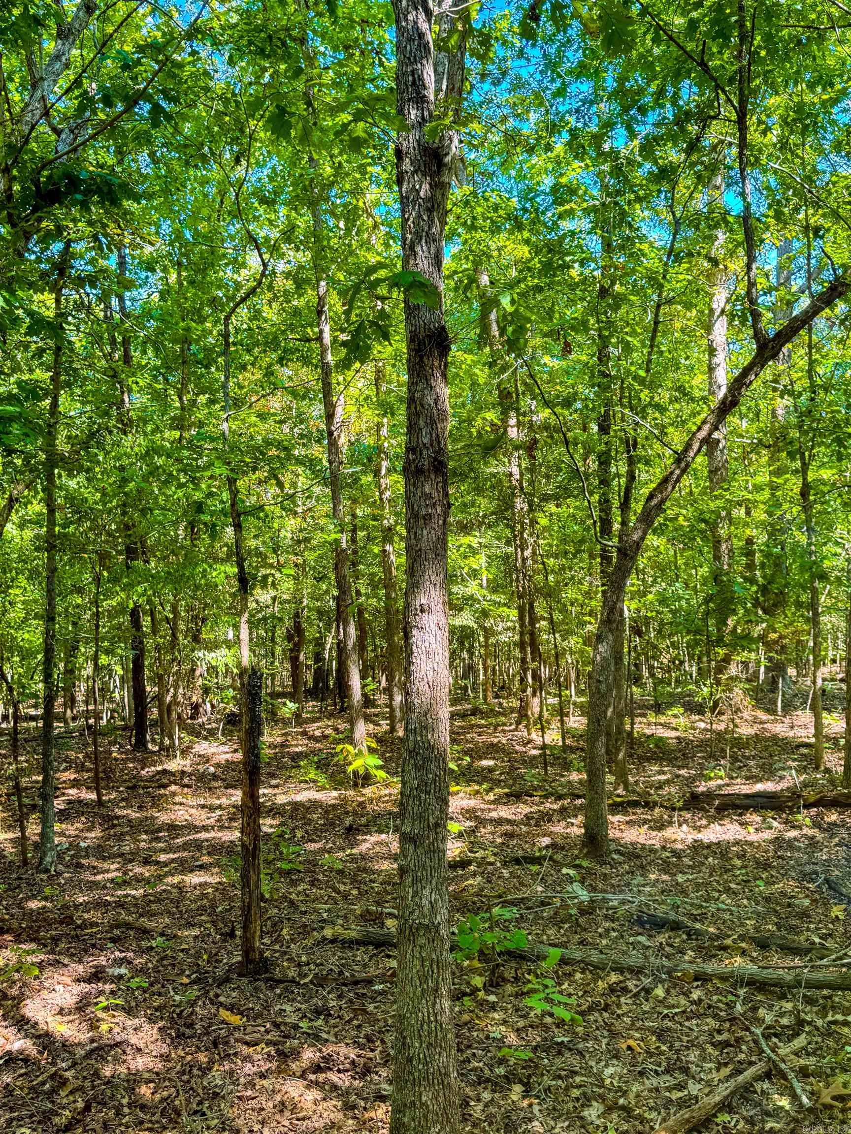 Tbd Red Fox Rd Property Photo 33