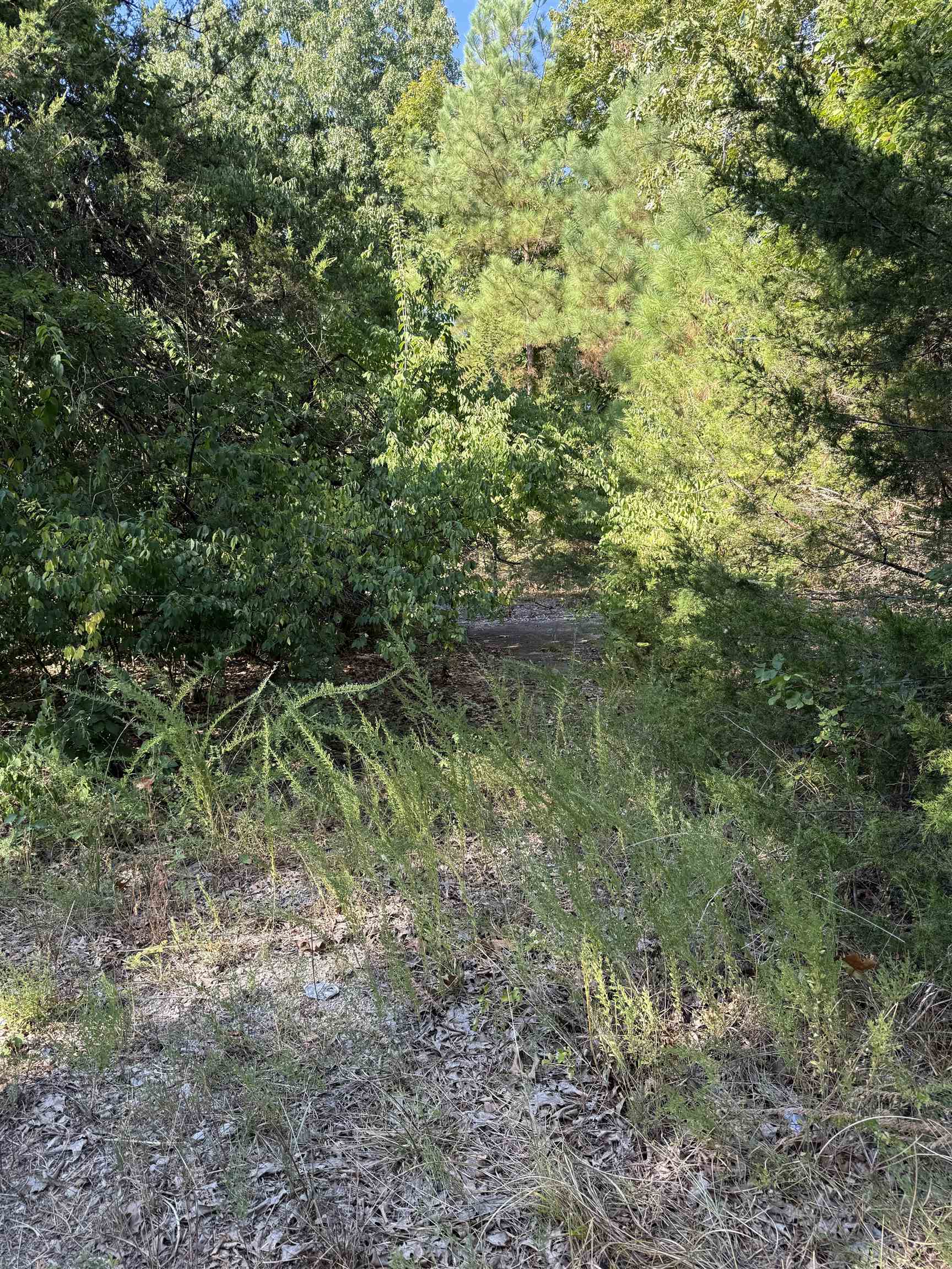 1213 Ridge Circle Property Photo 3