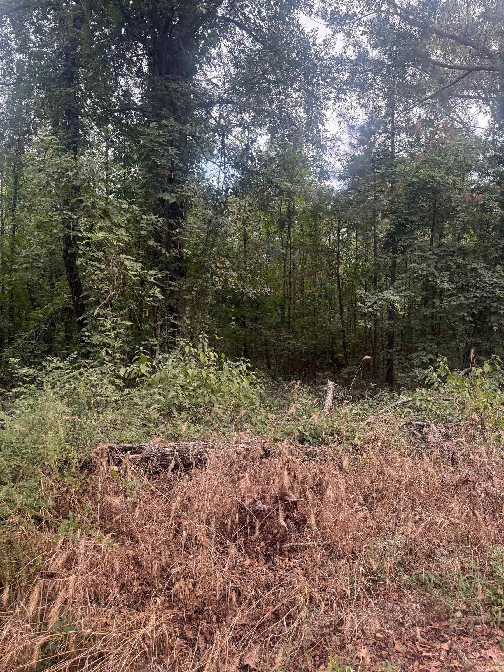 Tbd Williams Cutoff Road Property Photo 2