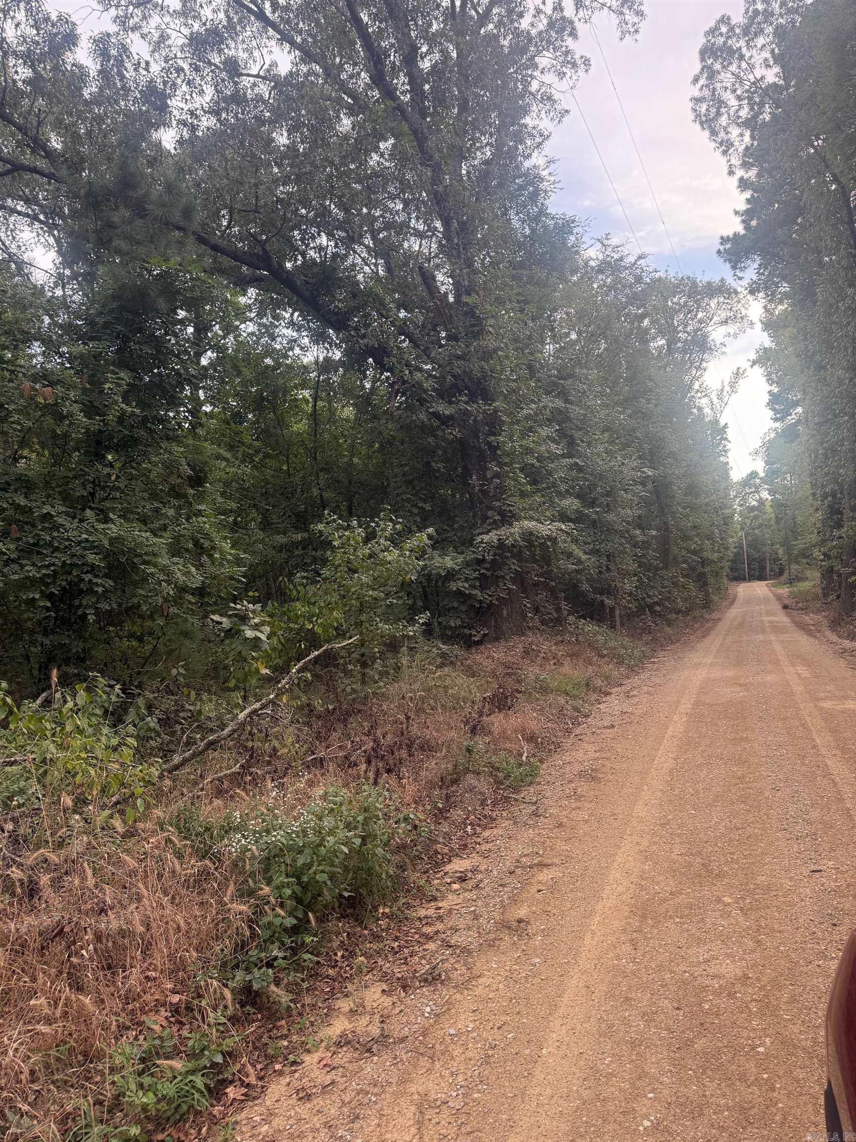 Tbd Williams Cutoff Road Property Photo 3