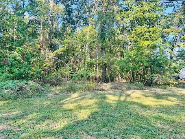 3688 Hwy. 367 S Property Photo 7