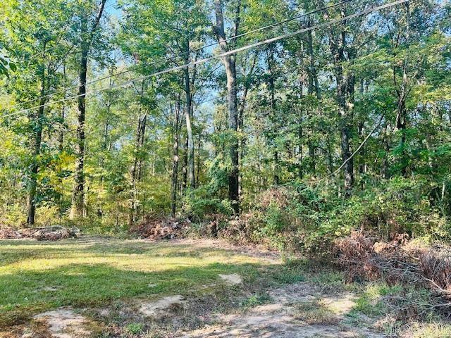 3688 Hwy. 367 S Property Photo 8