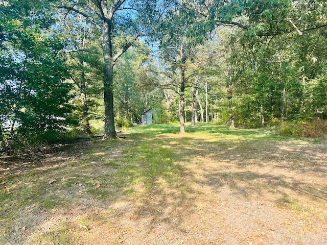 3688 Hwy. 367 S Property Photo 11