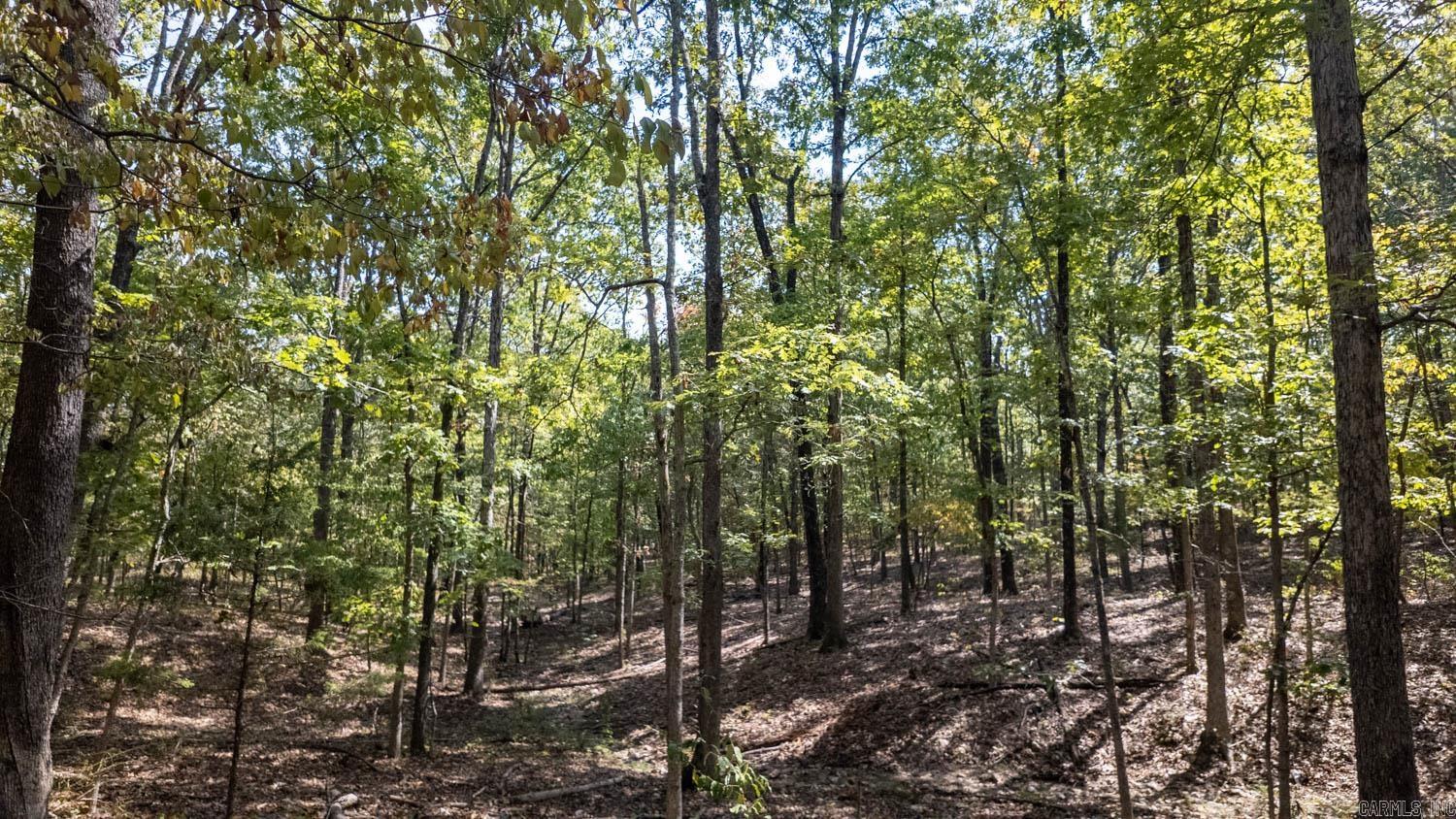 000 County Road 3540 Property Photo 1