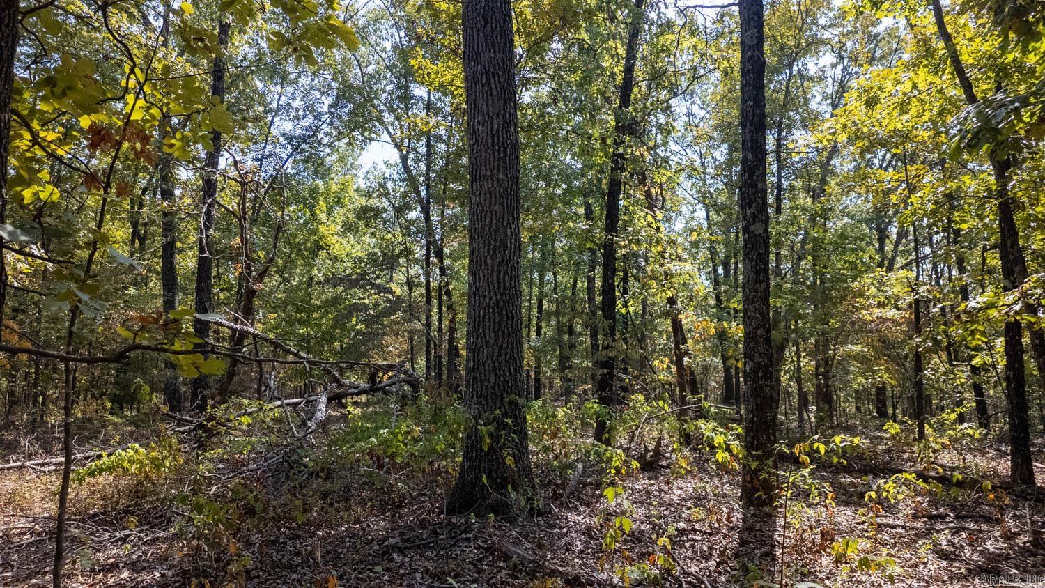 000 County Road 3540 Property Photo 4