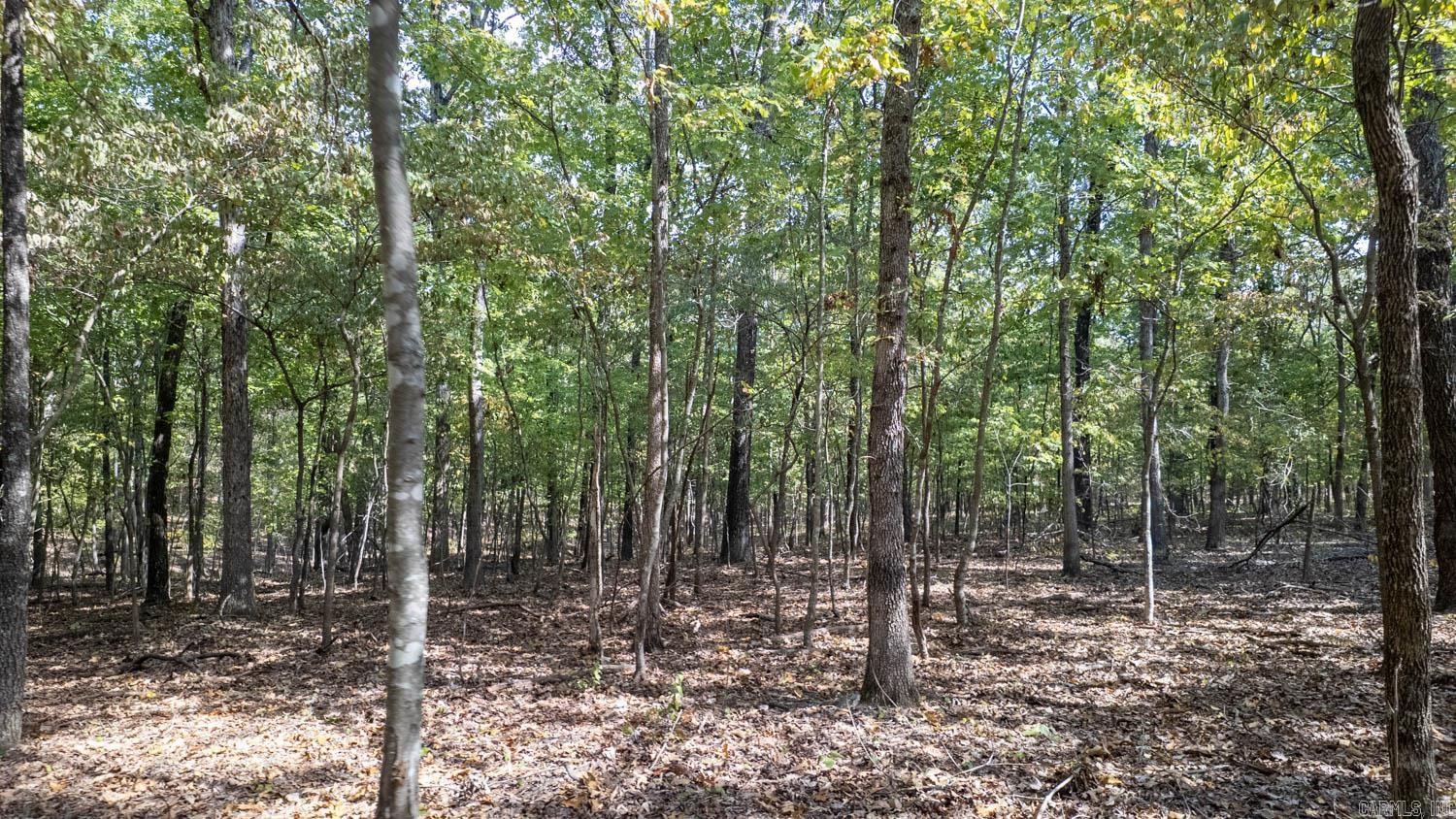 000 County Road 3540 Property Photo 6