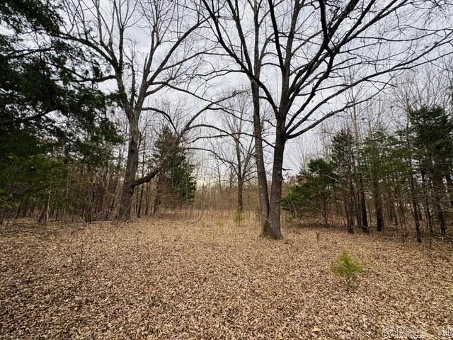 000 Cr 1121 Property Photo 1