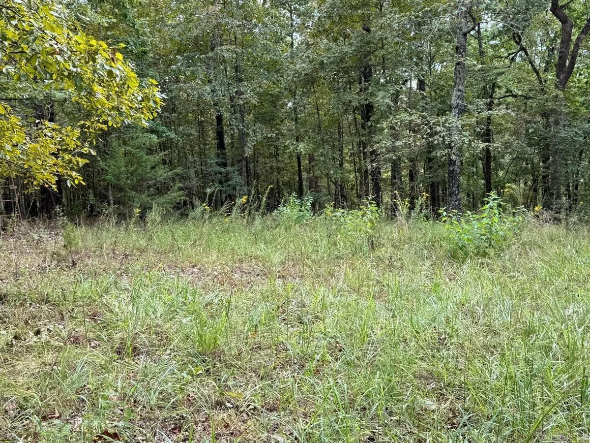 90 Mitchell Road Property Photo 38