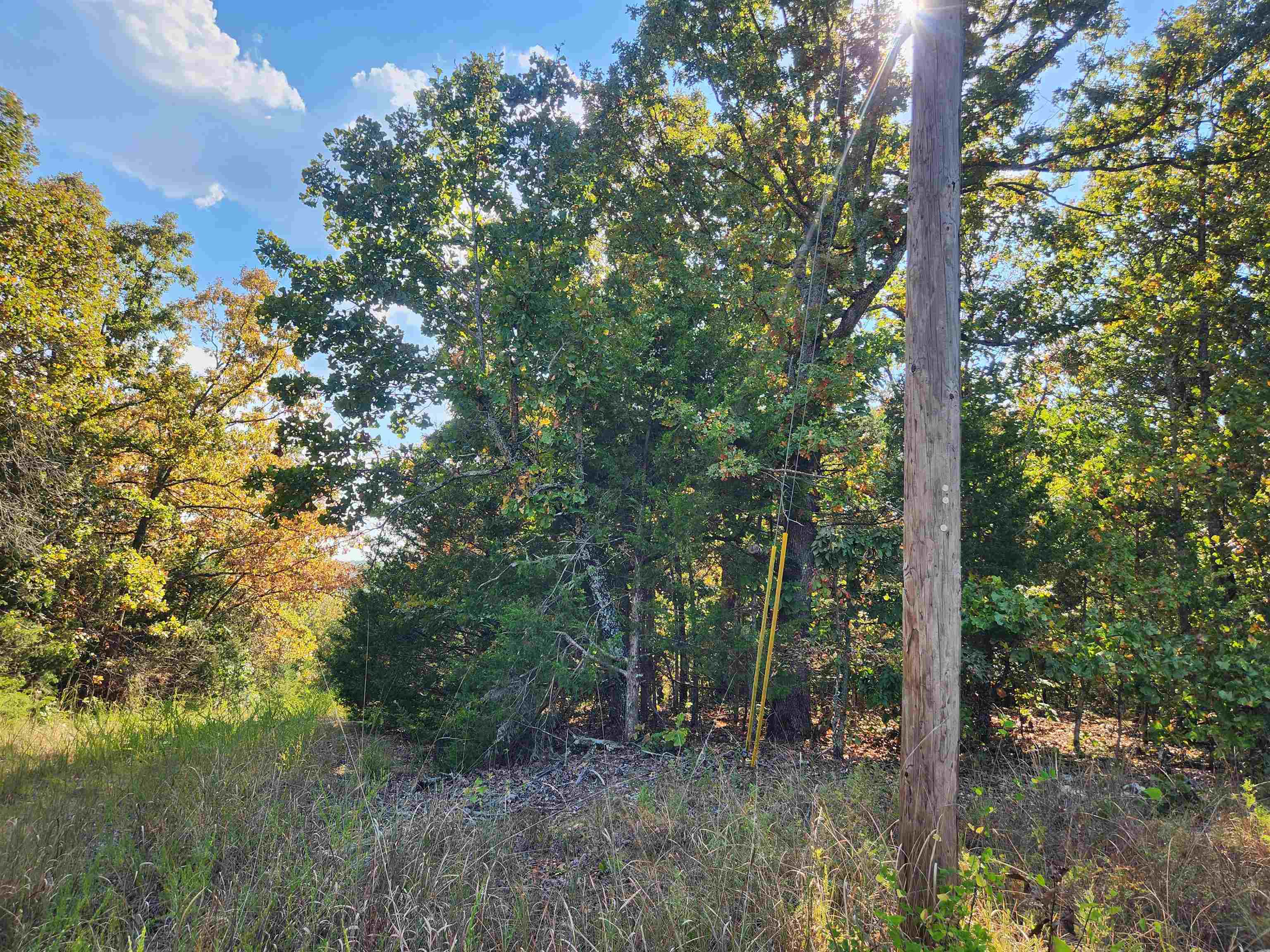 L16b5 Colonino Drive Property Photo 7