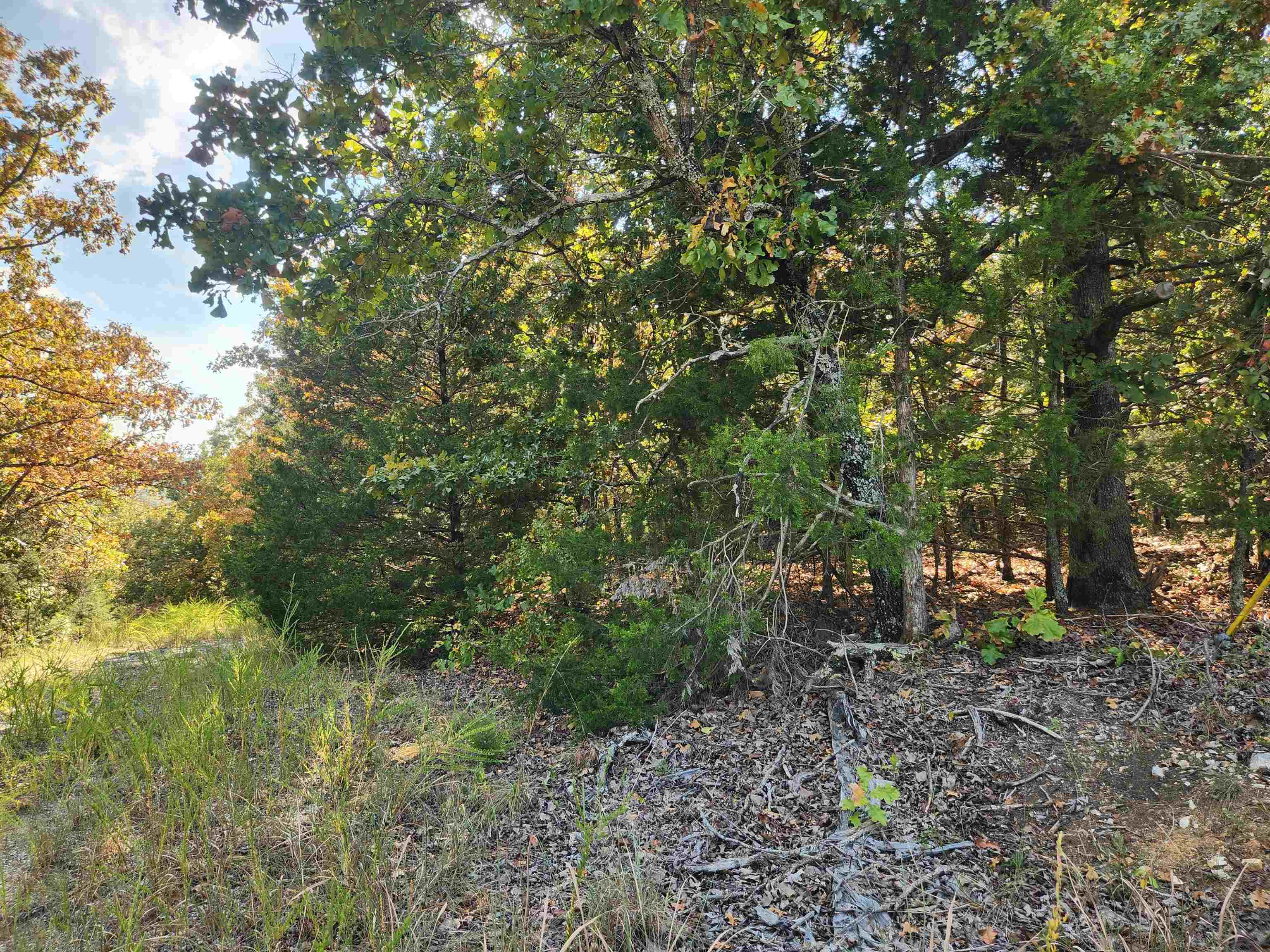L16b5 Colonino Drive Property Photo 9