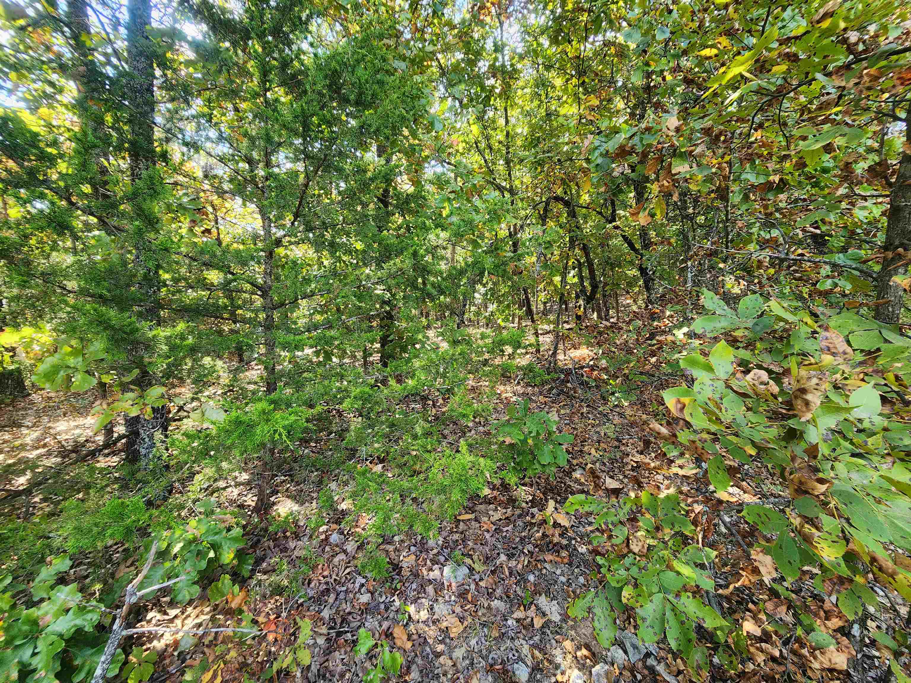 L16b5 Colonino Drive Property Photo 10
