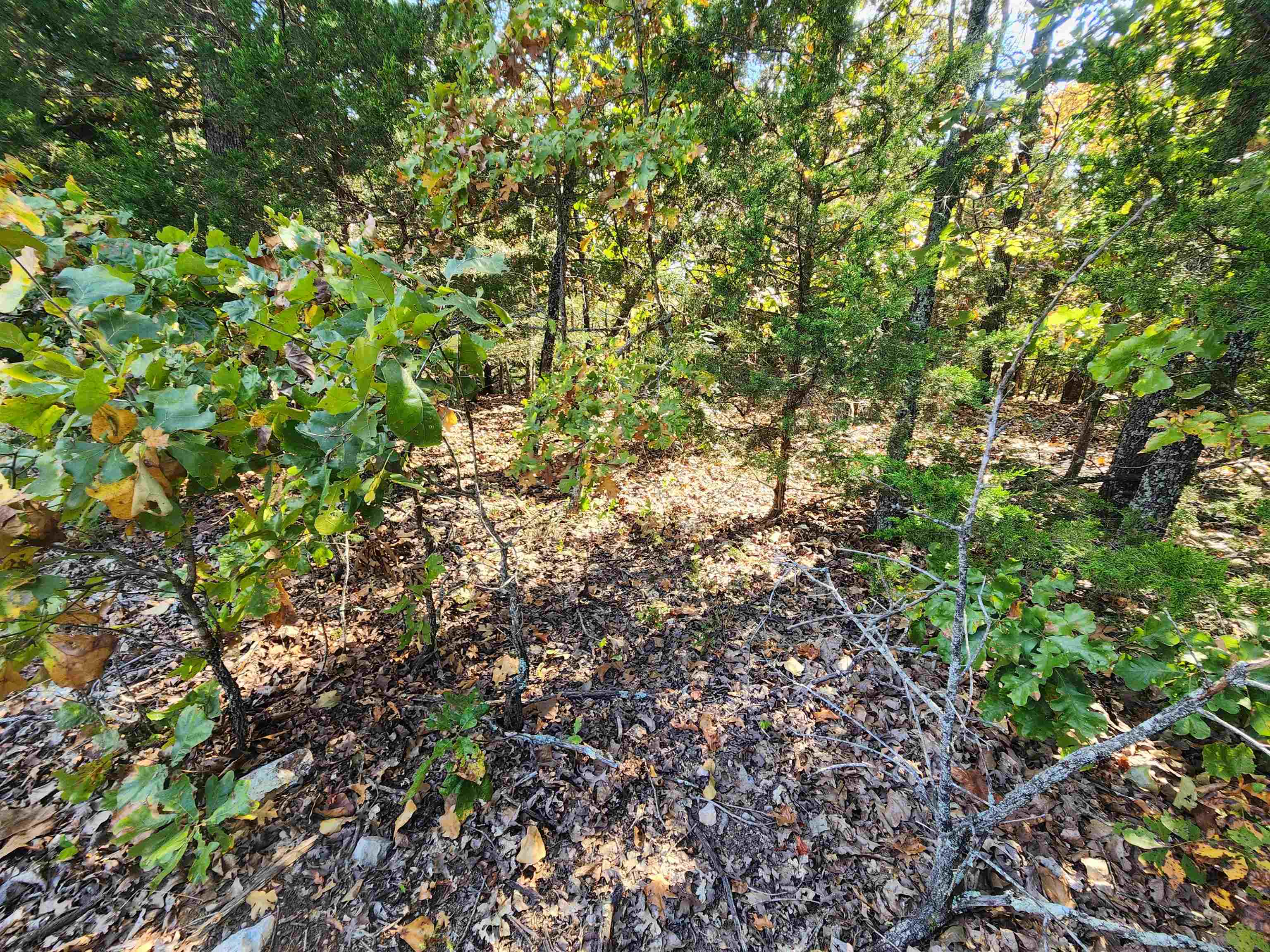 L16b5 Colonino Drive Property Photo 12