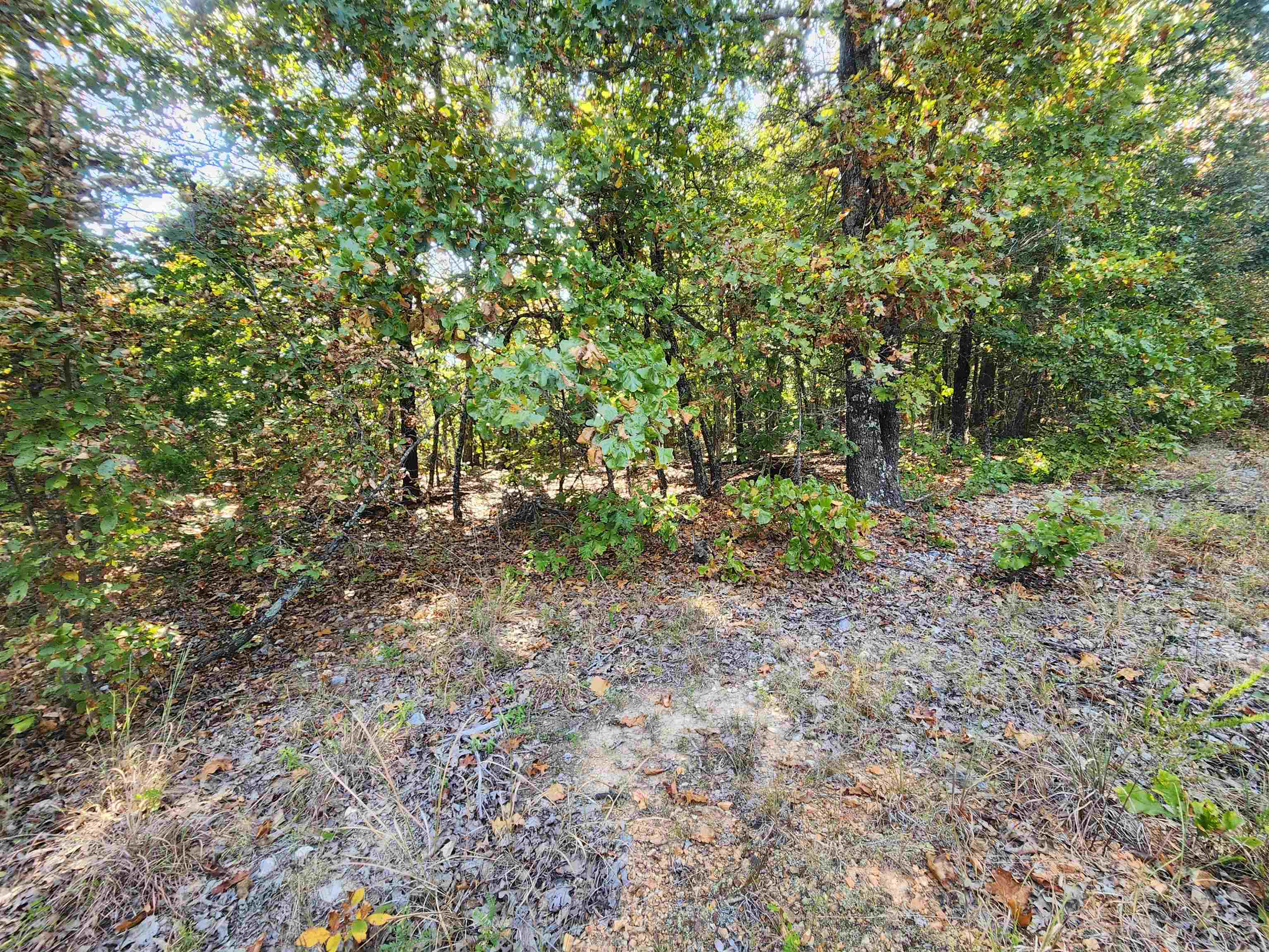 L16b5 Colonino Drive Property Photo 15