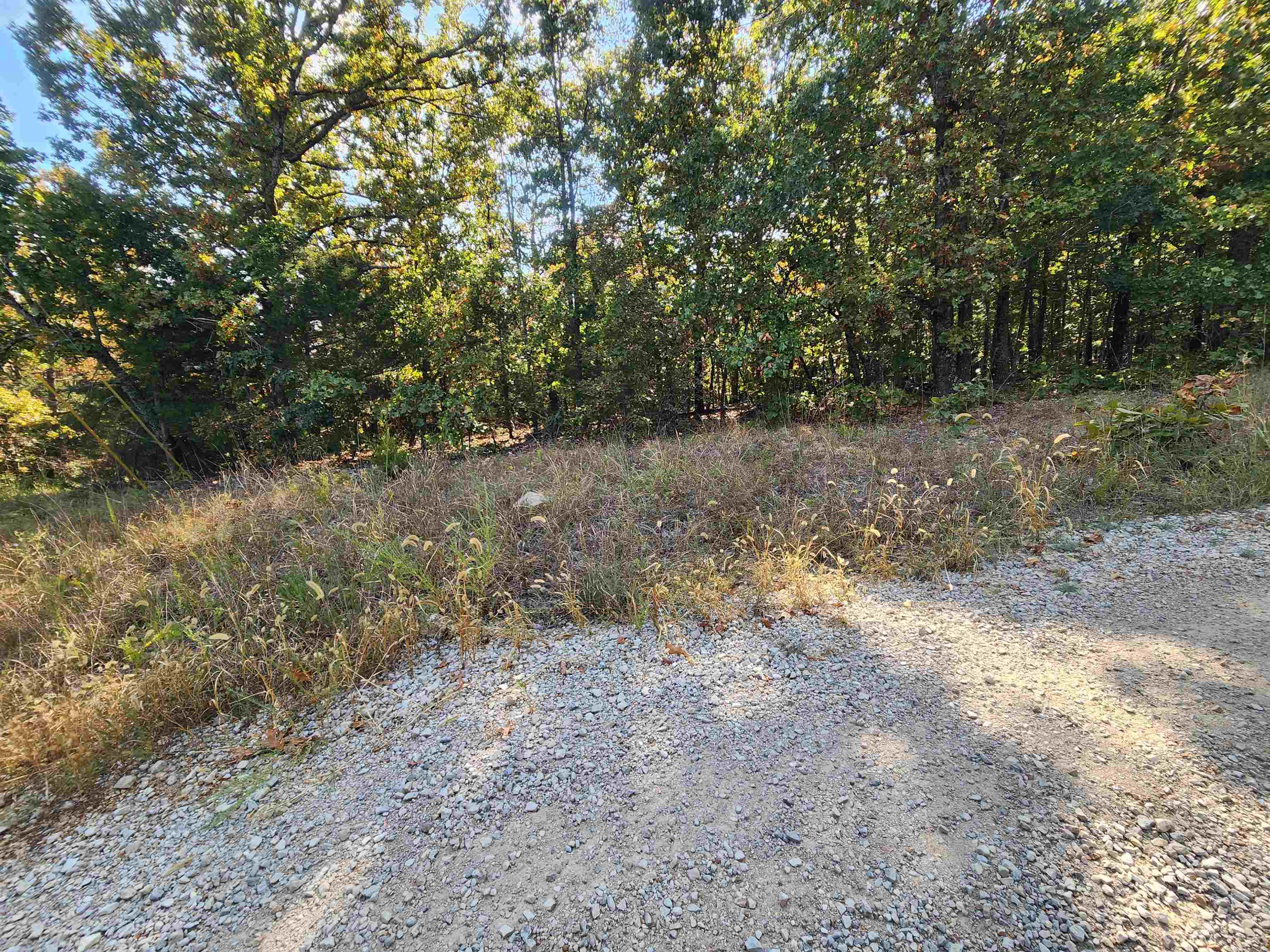 L16b5 Colonino Drive Property Photo 18