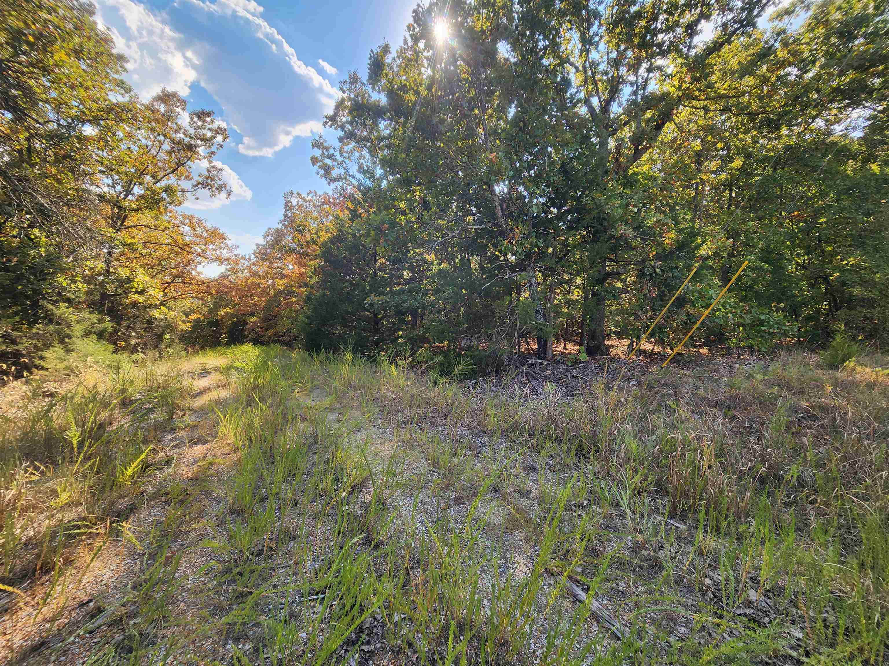 L16b5 Colonino Drive Property Photo 22