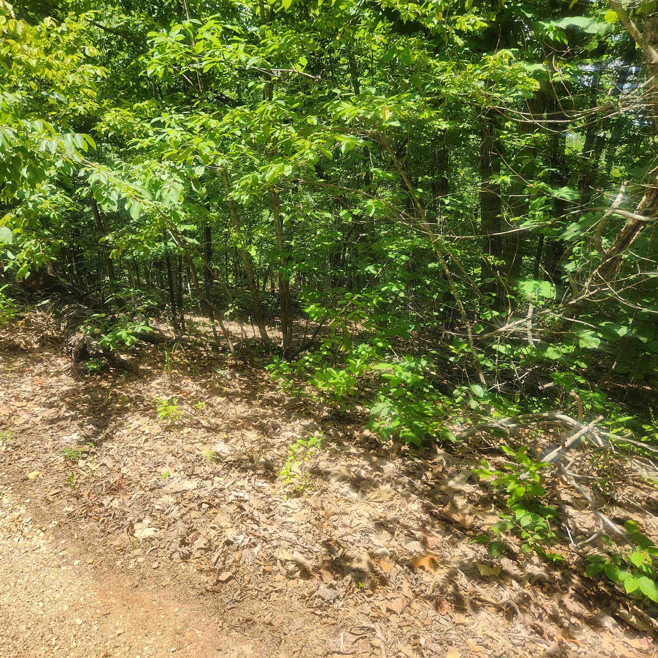 L-27, B-15 Goti Drive Property Photo 3