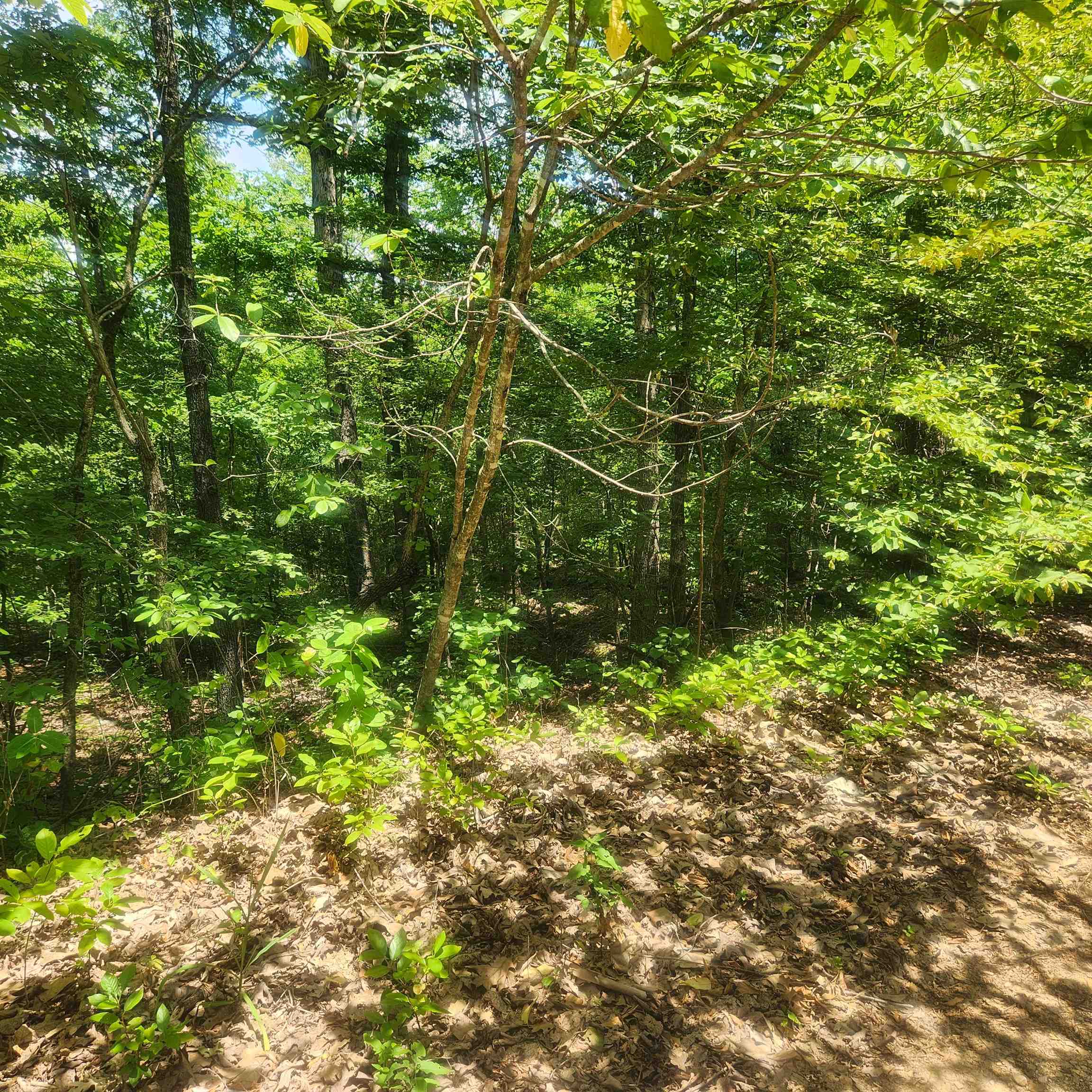 L-27, B-15 Goti Drive Property Photo 4