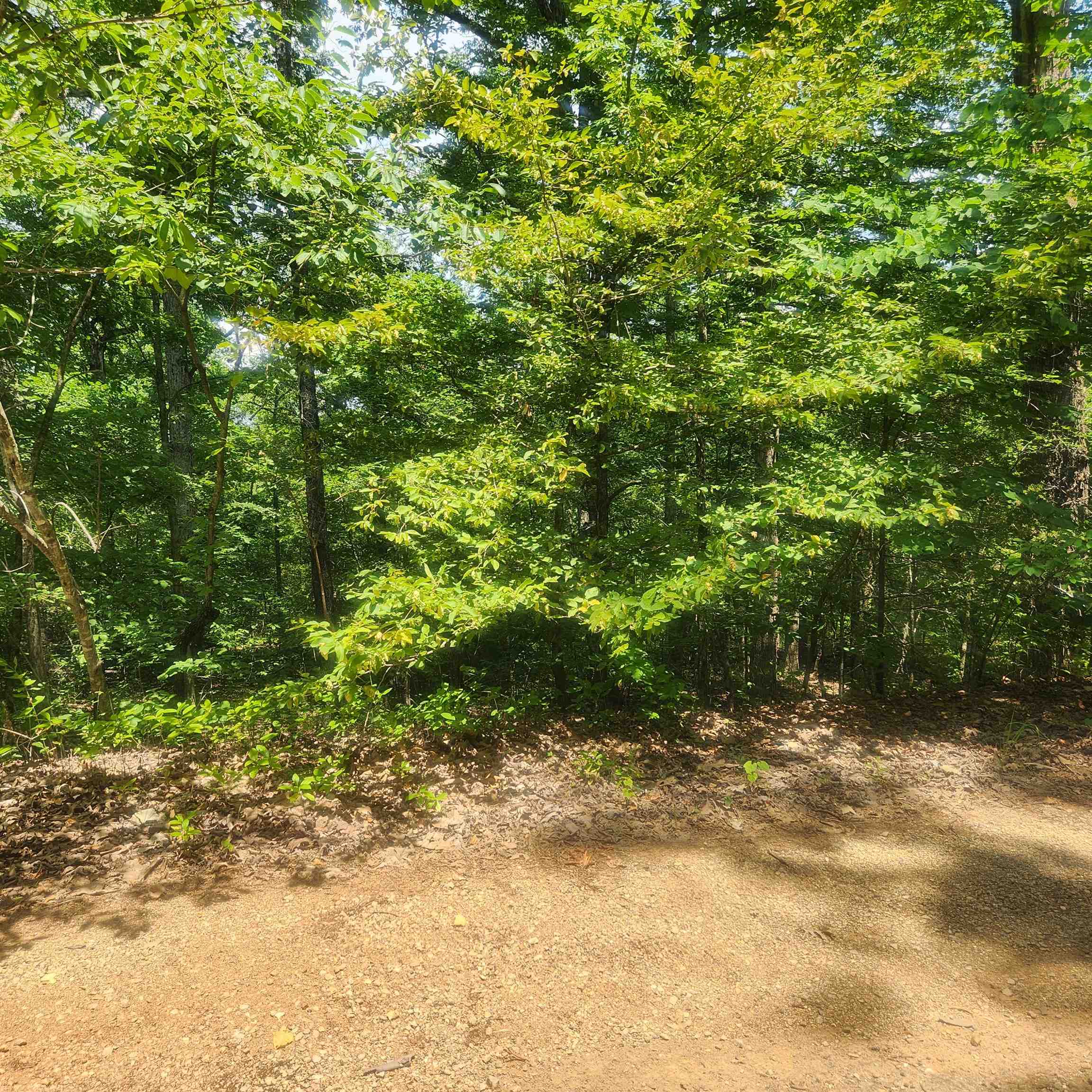 L-27, B-15 Goti Drive Property Photo 6
