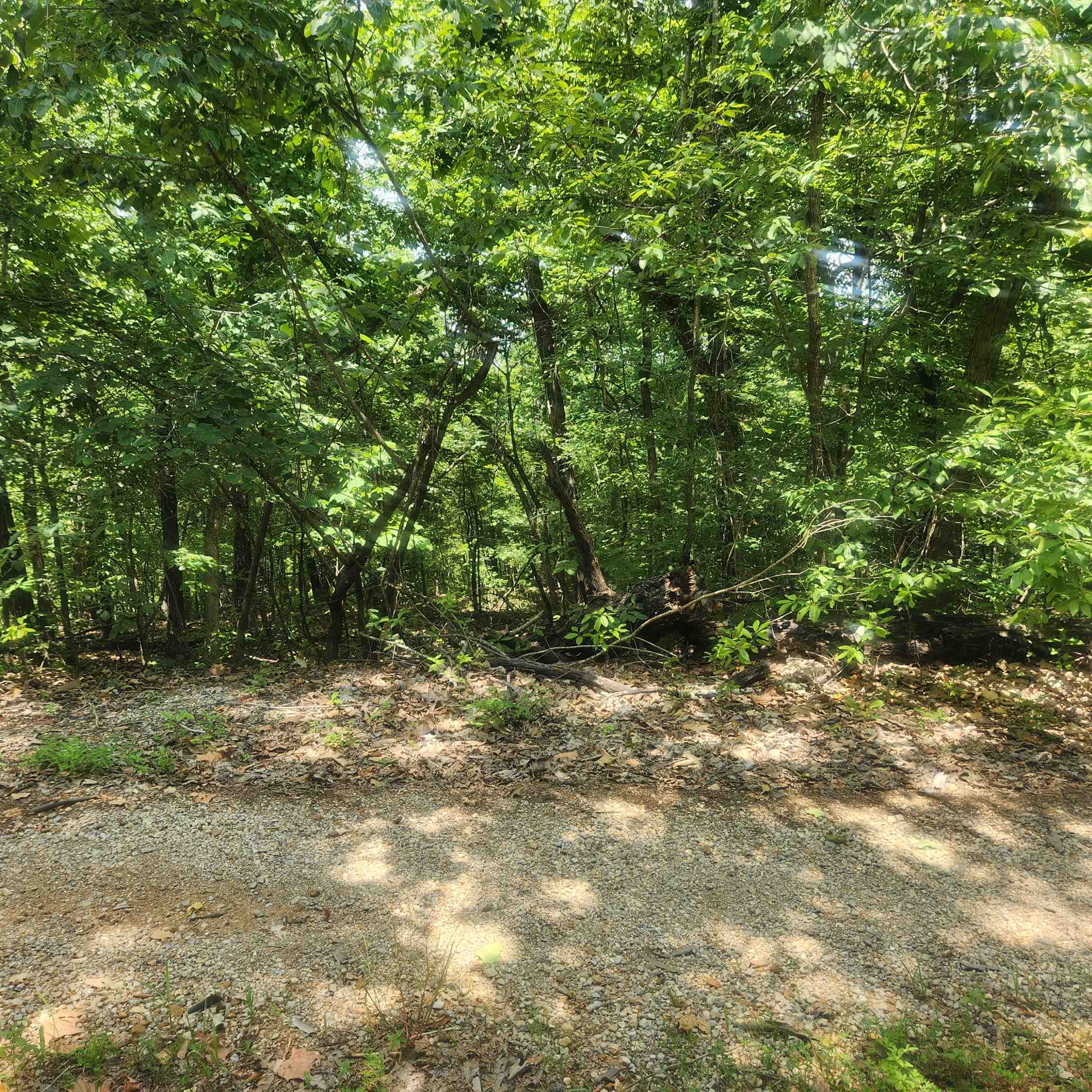L-27, B-15 Goti Drive Property Photo 8