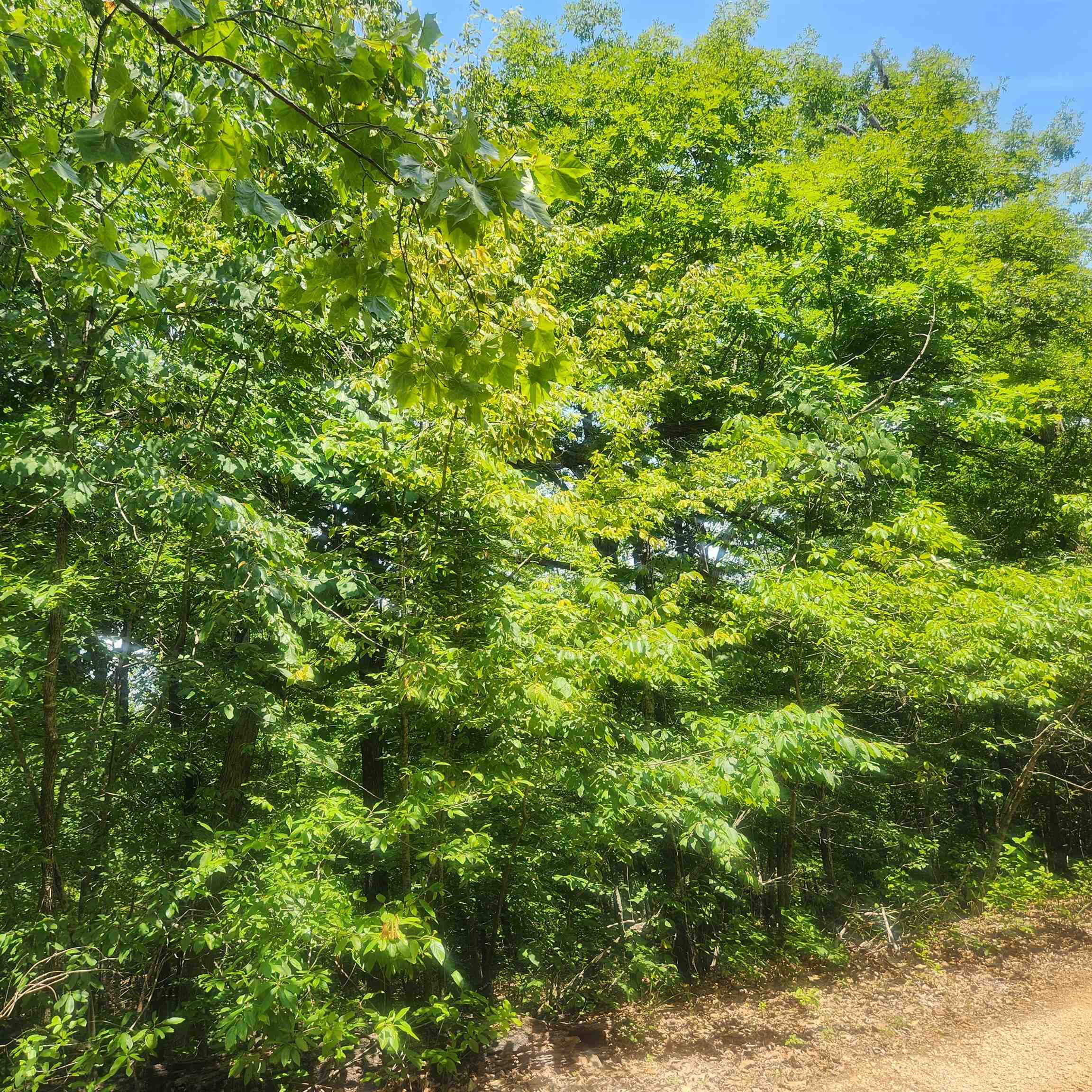 L-27, B-15 Goti Drive Property Photo 10