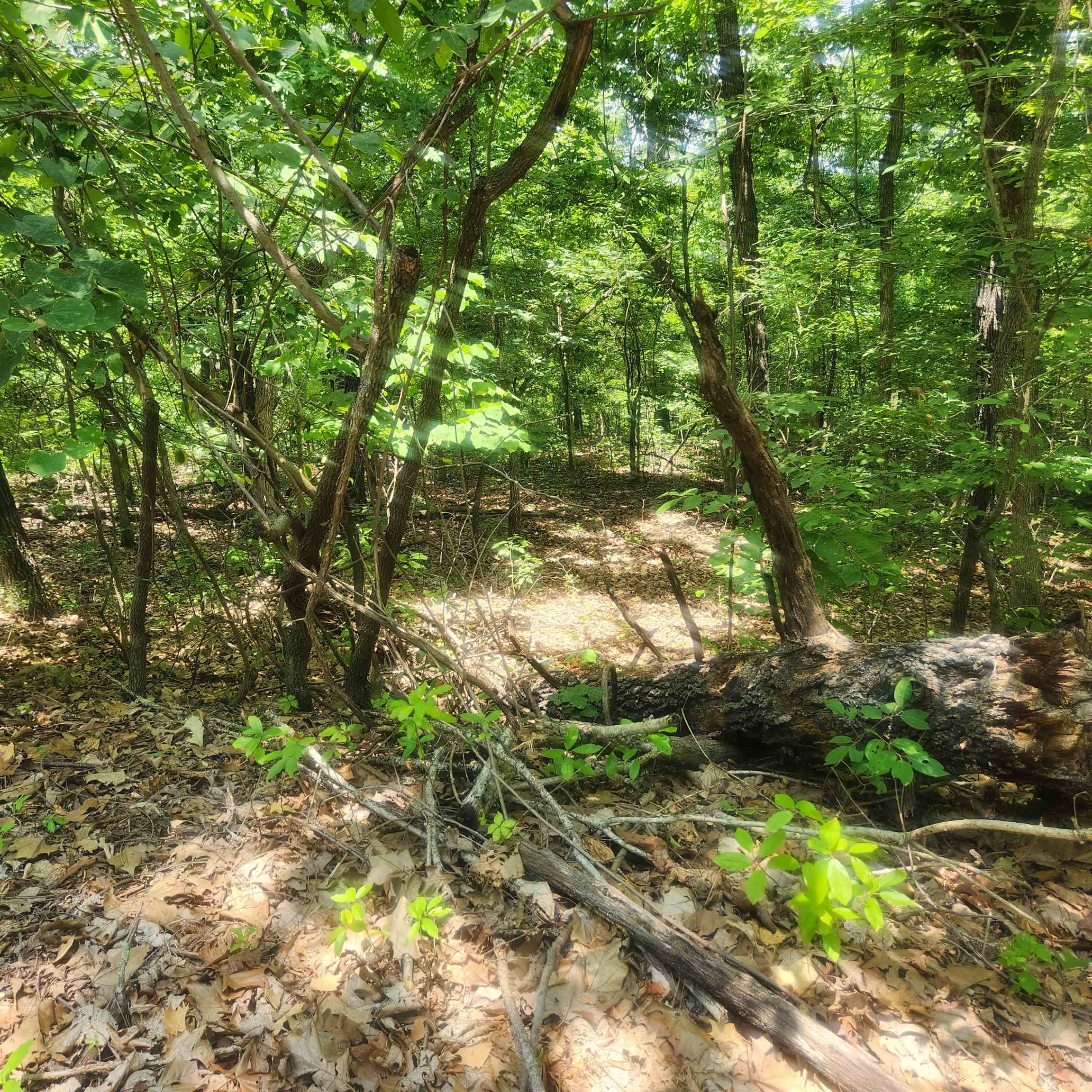 L-27, B-15 Goti Drive Property Photo 11