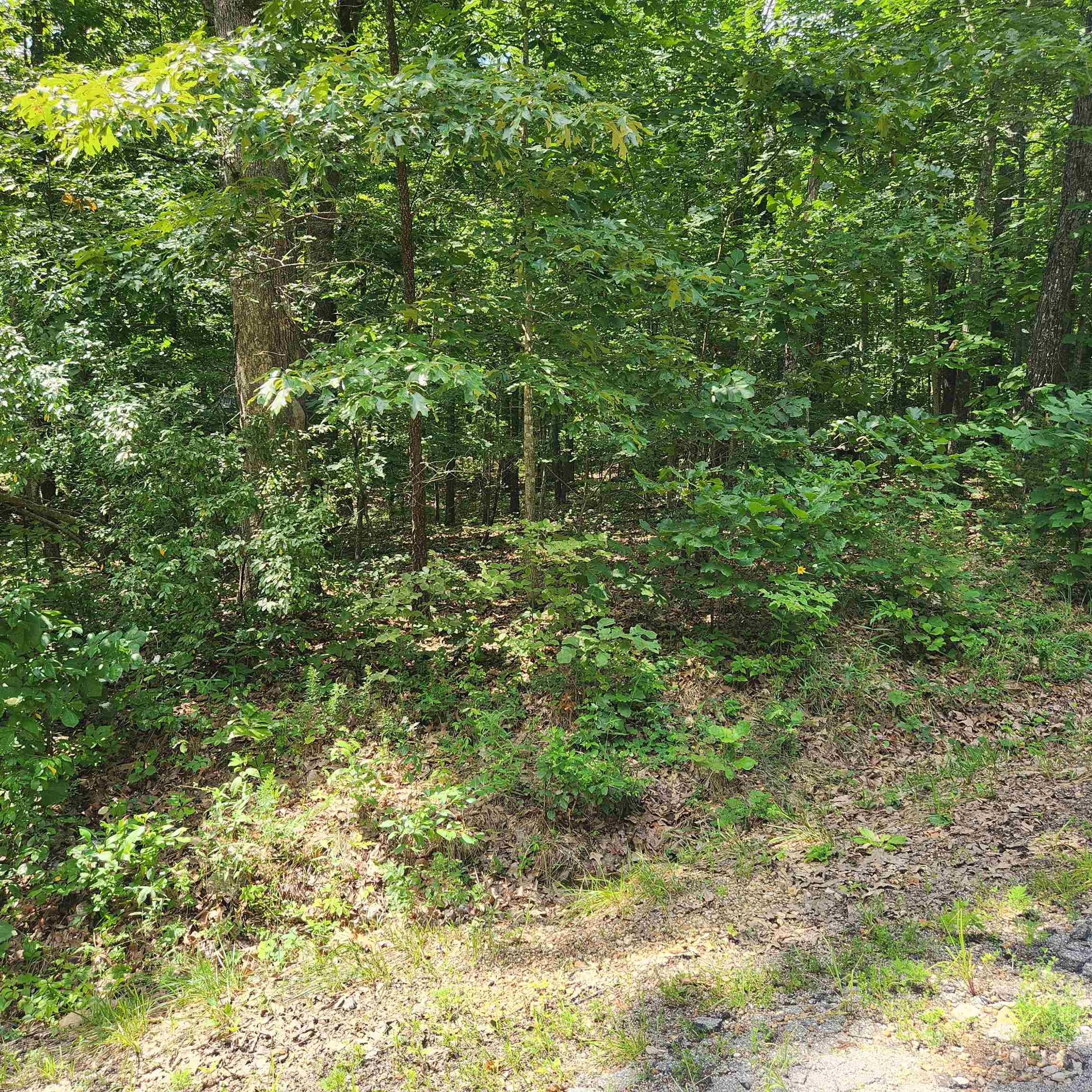L-42, B-1 Saskatchewan Drive Property Photo 5