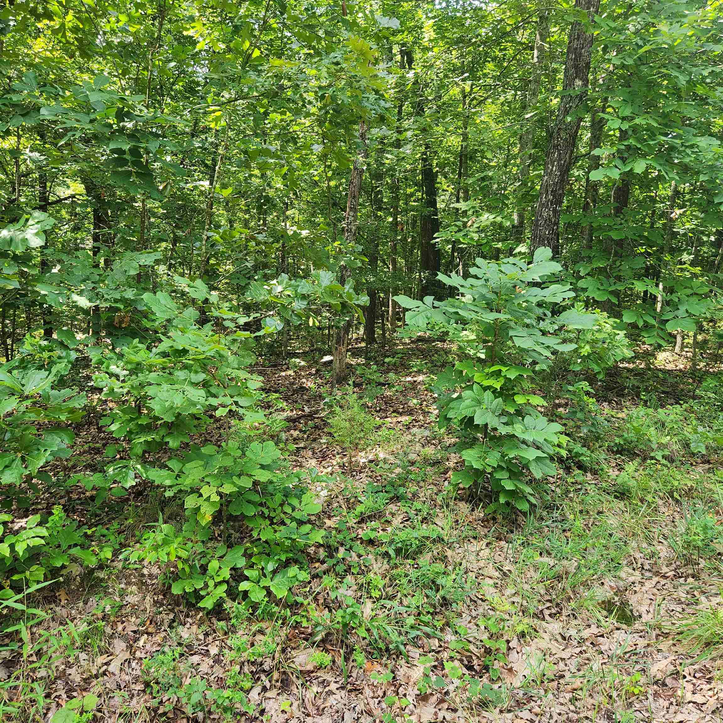 L-42, B-1 Saskatchewan Drive Property Photo 6