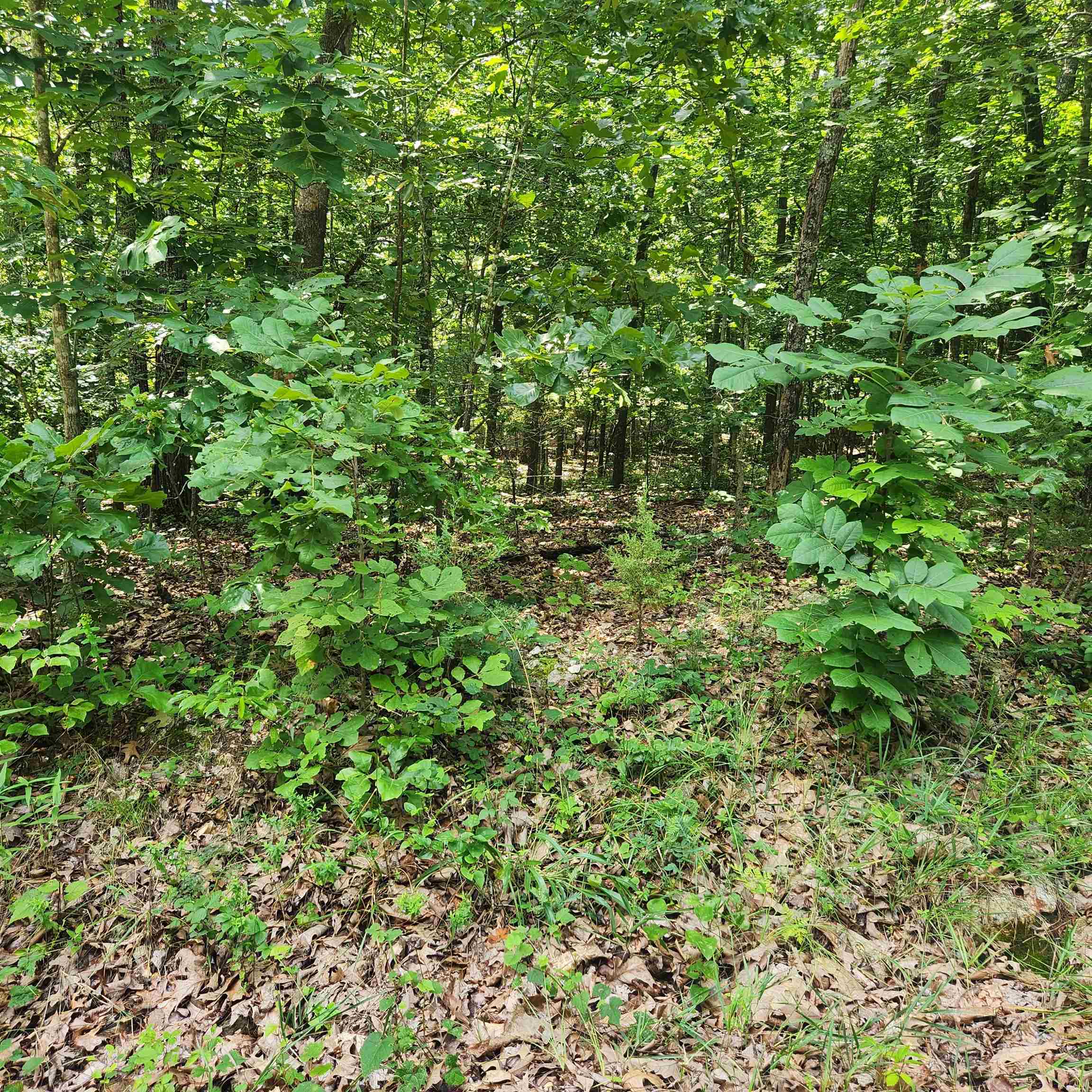 L-42, B-1 Saskatchewan Drive Property Photo 7