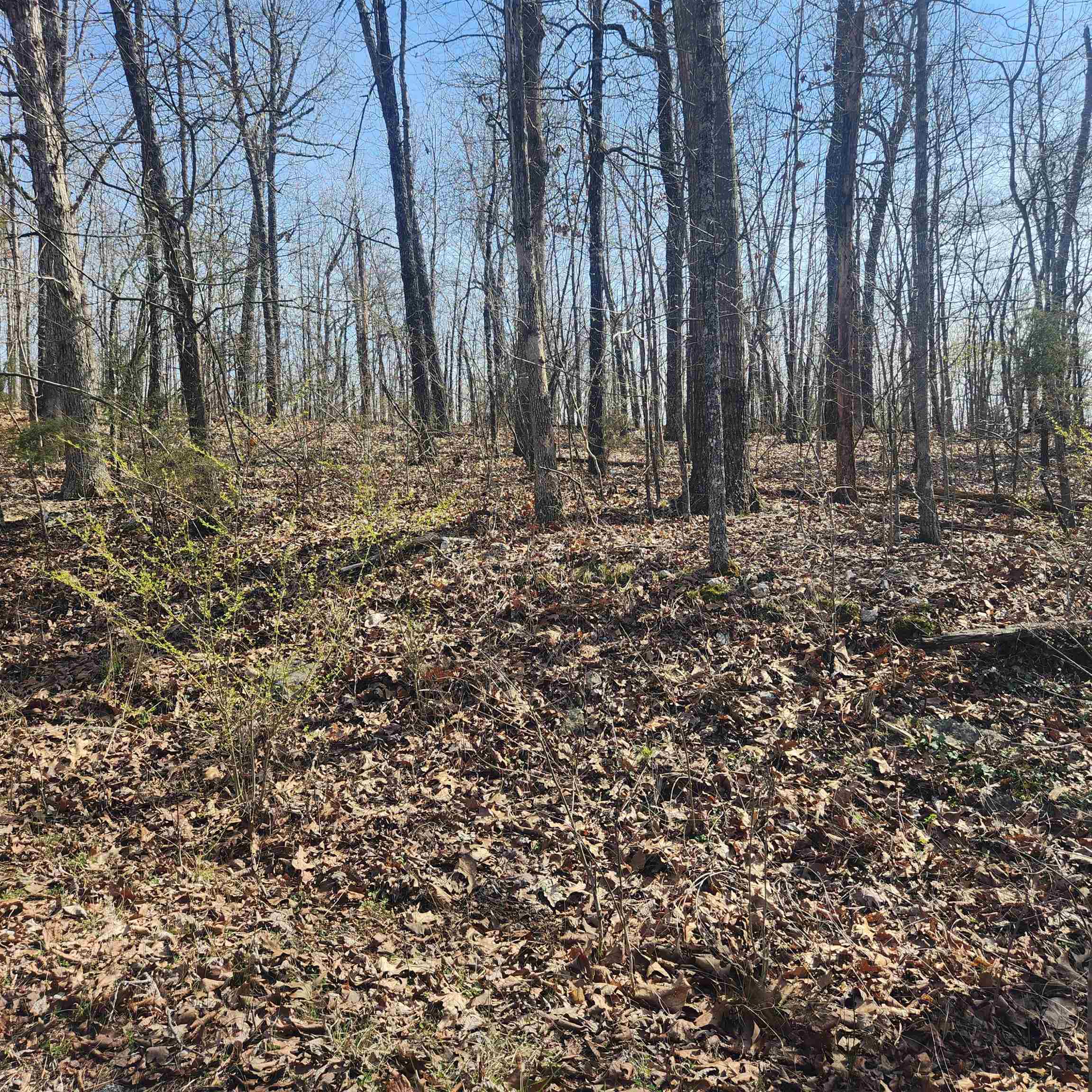 L-4, B-6 Chickasaw Drive Property Photo 1