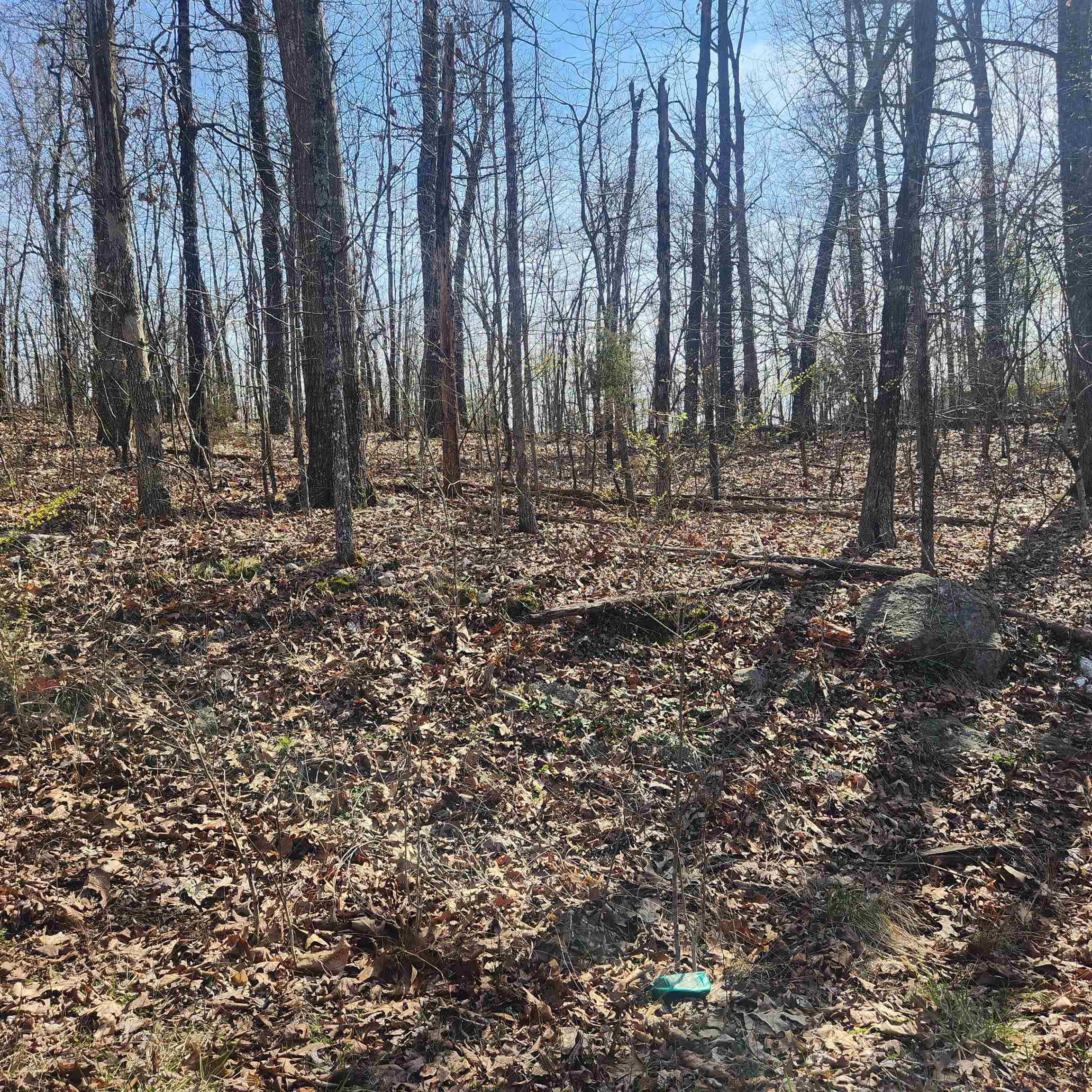 L-4, B-6 Chickasaw Drive Property Photo 6
