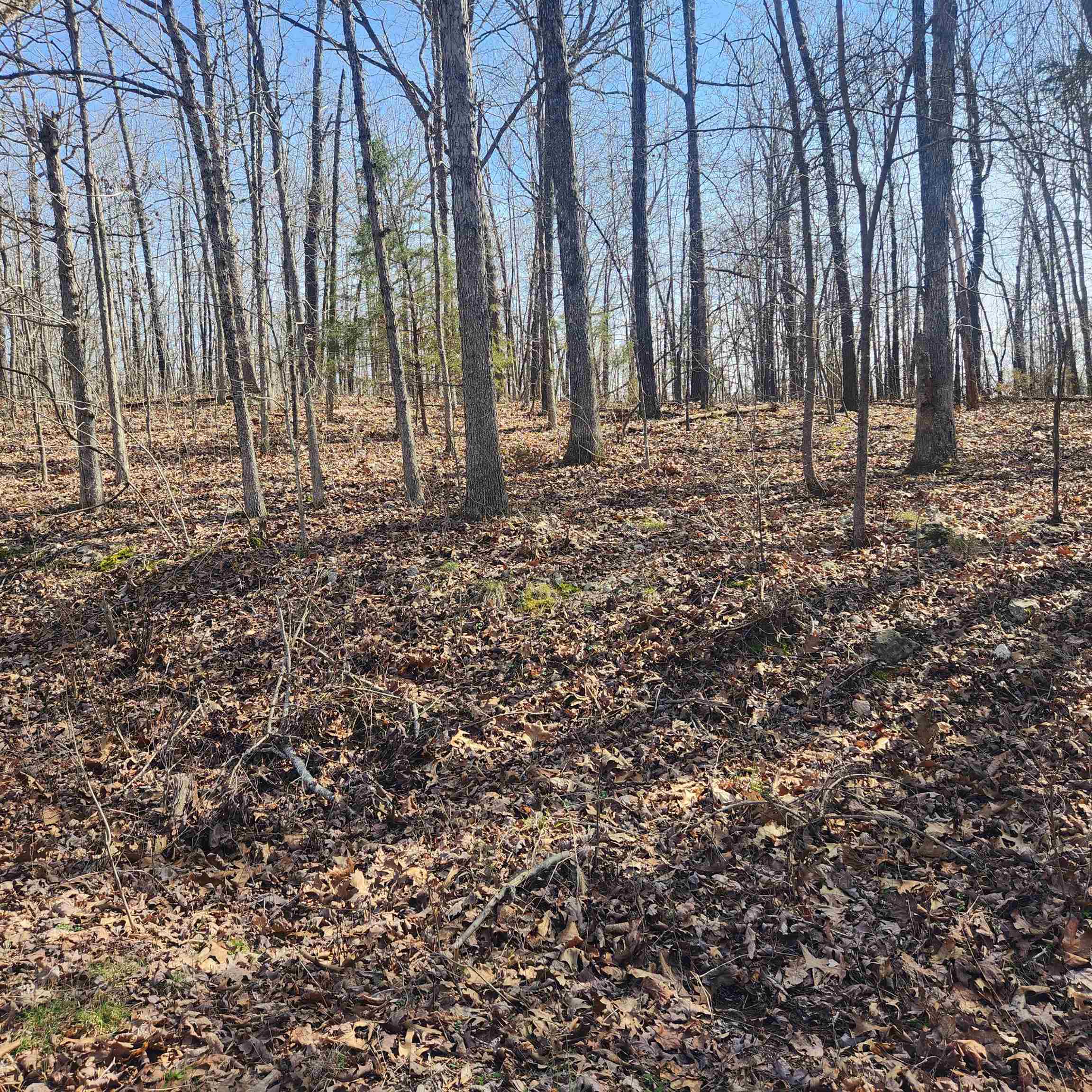 L-4, B-6 Chickasaw Drive Property Photo 7