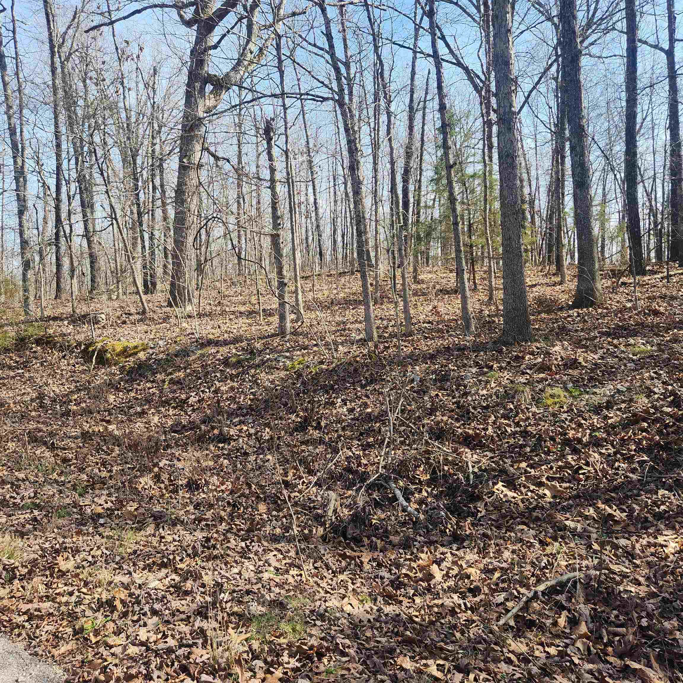 L-4, B-6 Chickasaw Drive Property Photo 8