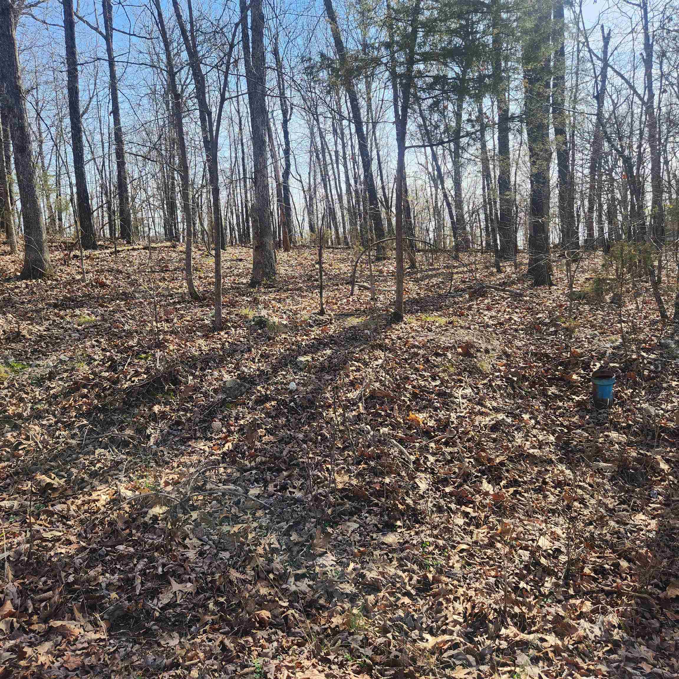 L-4, B-6 Chickasaw Drive Property Photo 9