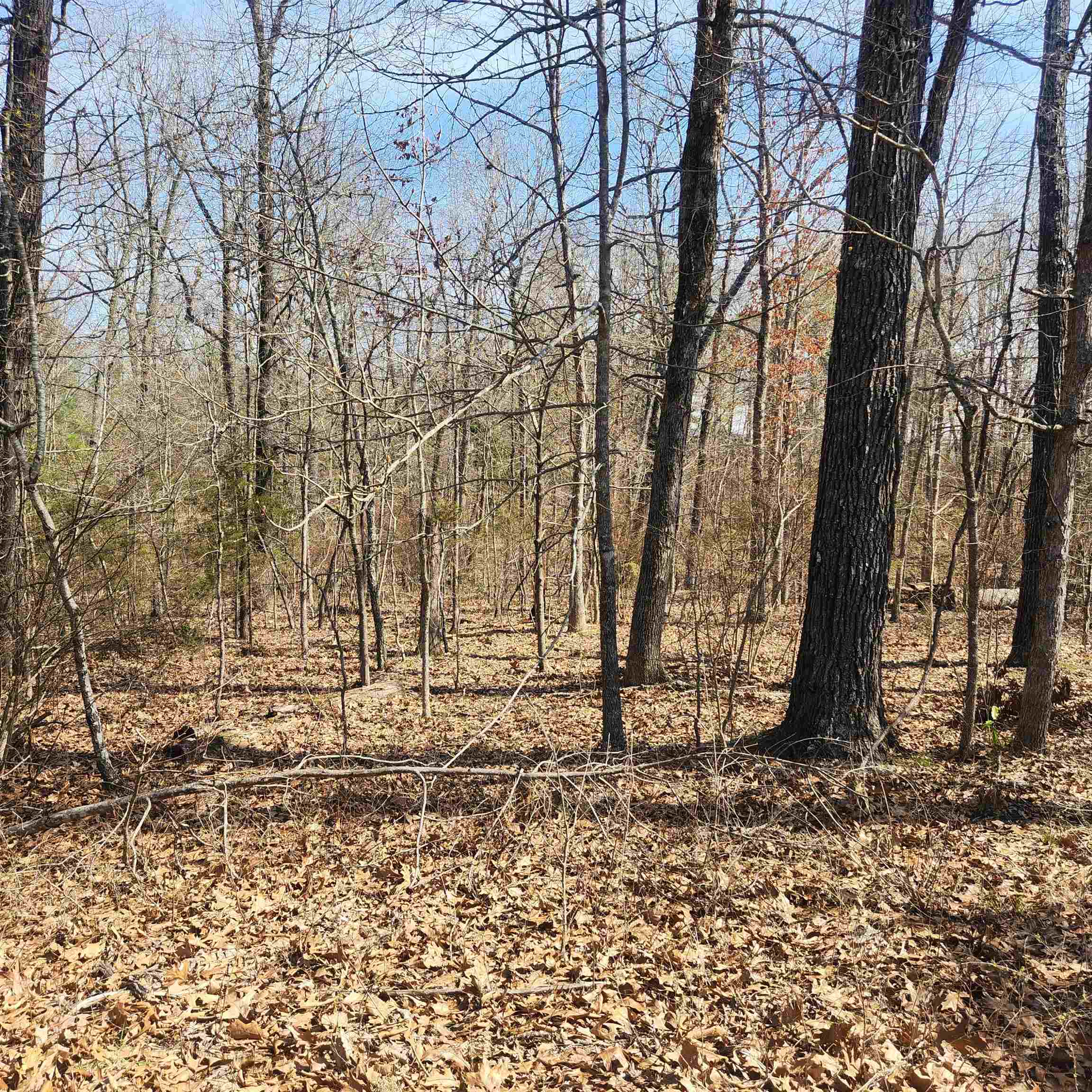 L-7, B-29 Miccosukee Circle Property Photo 2