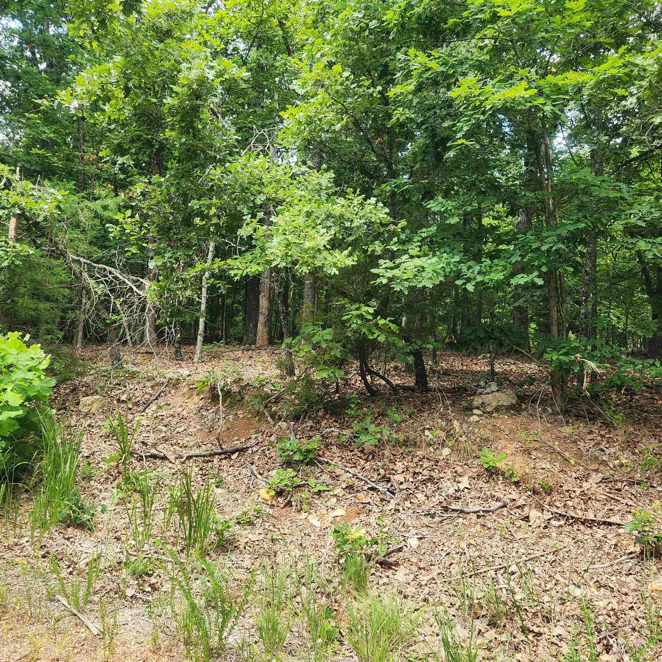 L-60, B-6 Anadarko Drive Property Photo 1
