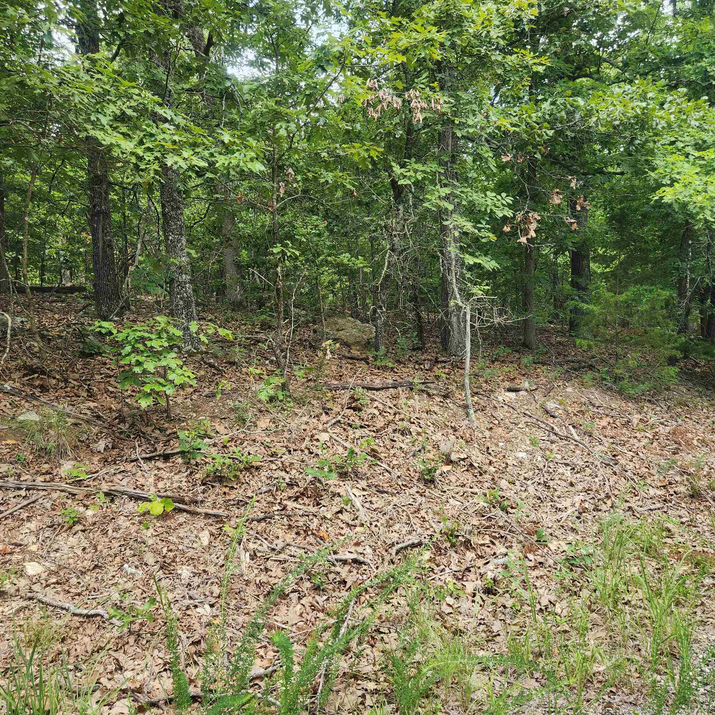 L-60, B-6 Anadarko Drive Property Photo 4