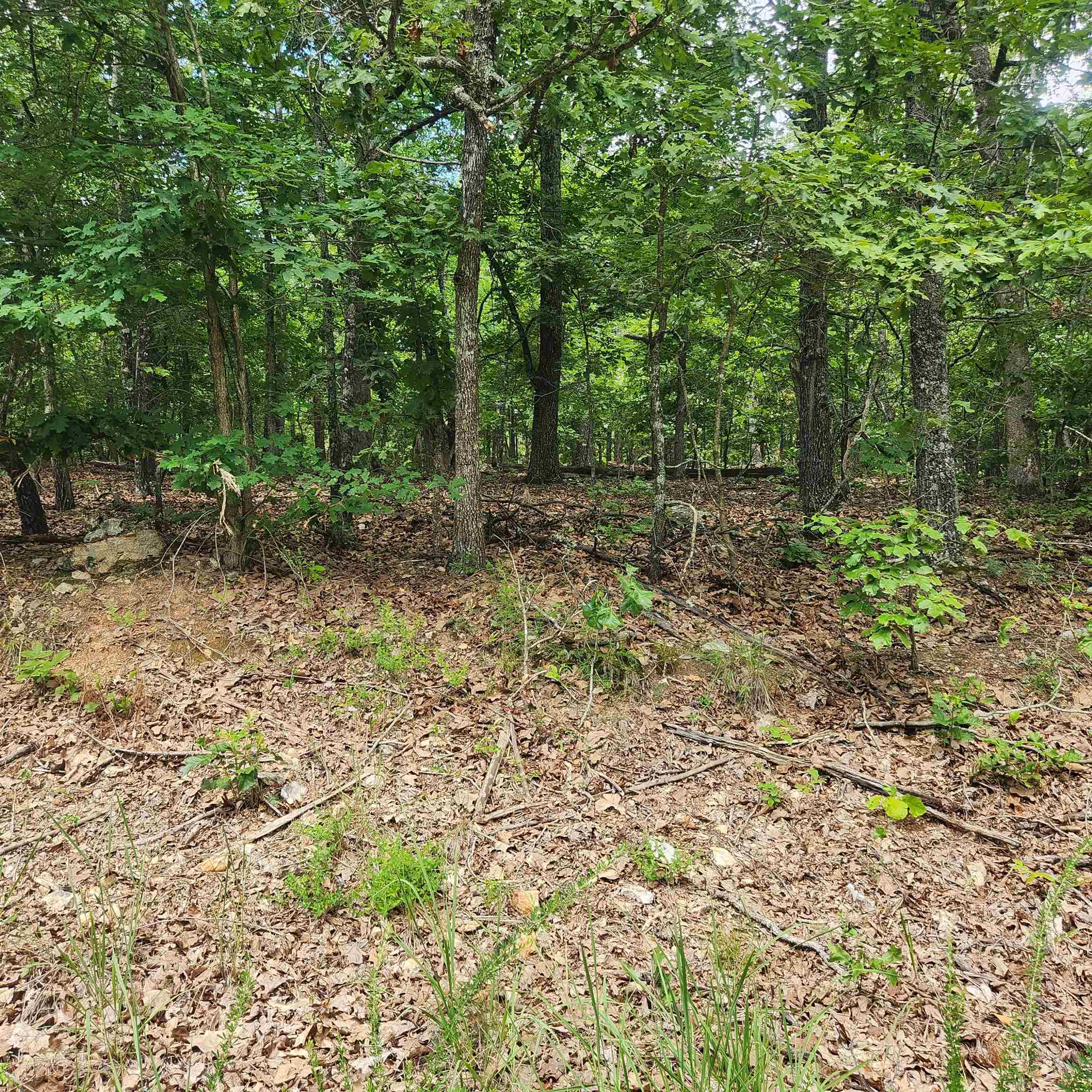 L-60, B-6 Anadarko Drive Property Photo 6