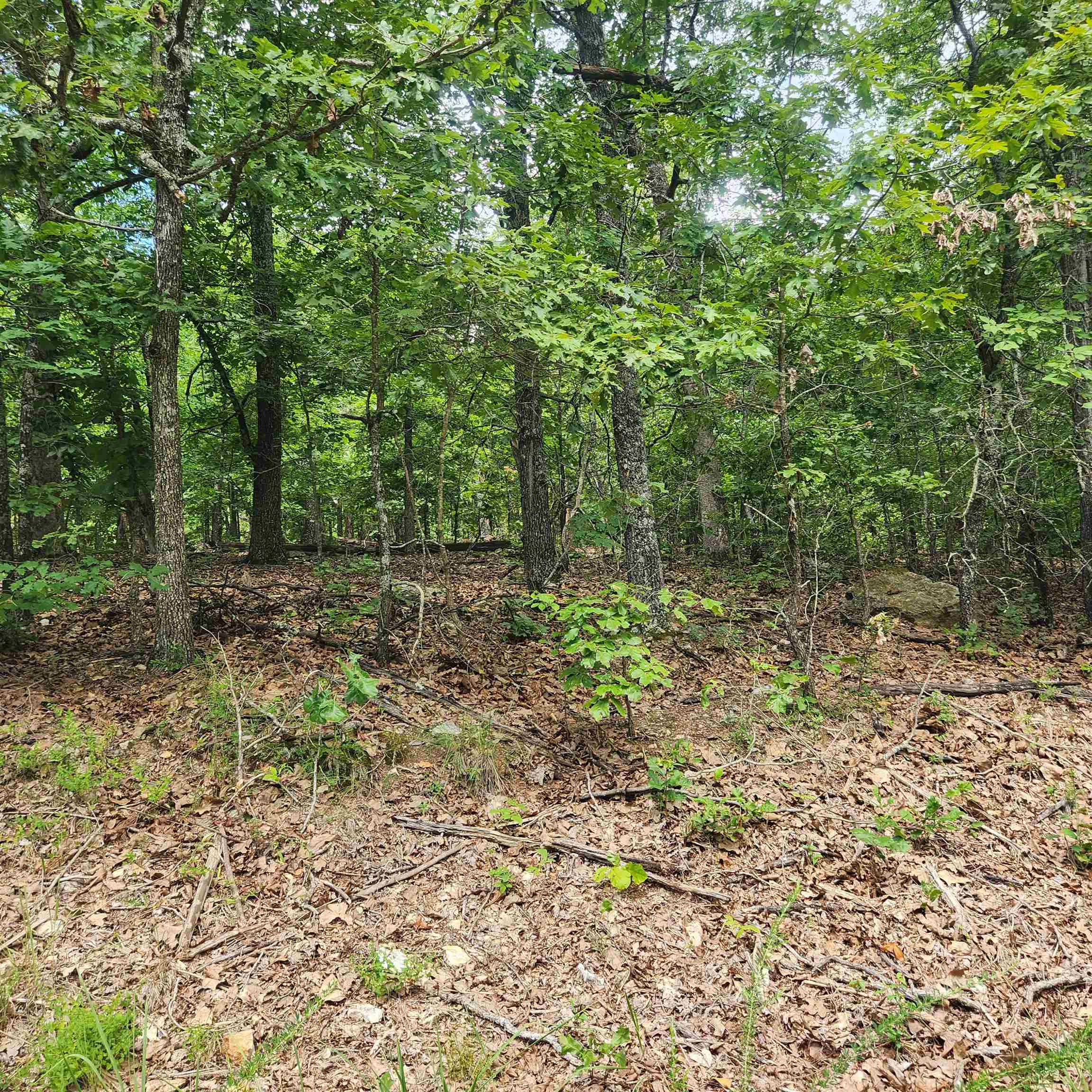 L-60, B-6 Anadarko Drive Property Photo 7