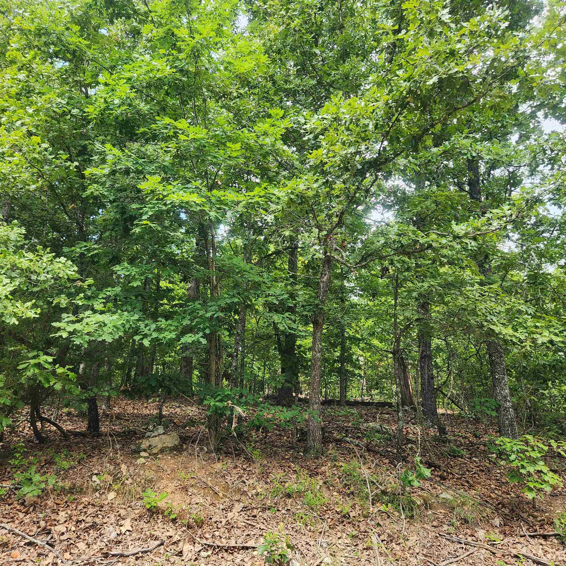 L-60, B-6 Anadarko Drive Property Photo 8