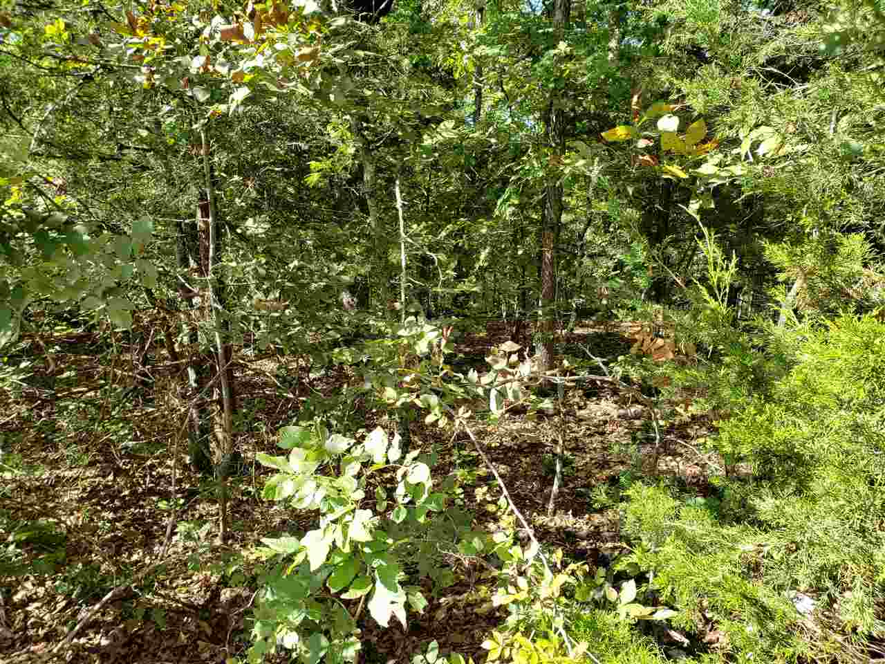 L-35, 36, B-7 Pahokee Drive Property Photo 9
