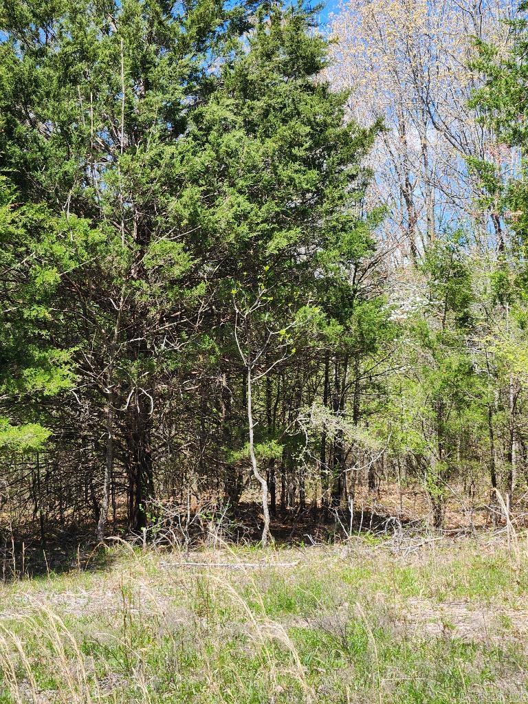 538 Fowler Road Property Photo 6