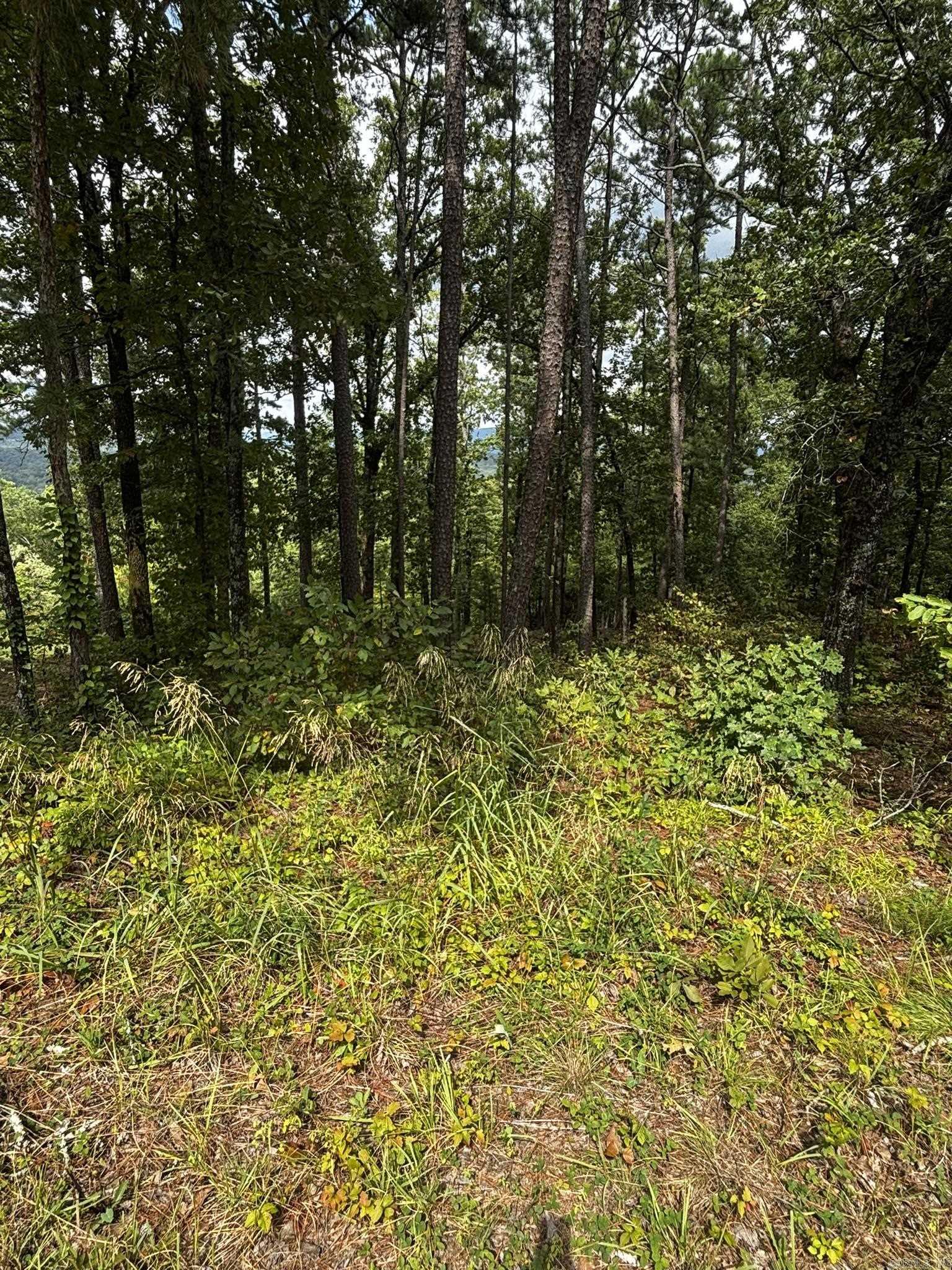 140 E Villena Drive Property Photo 7
