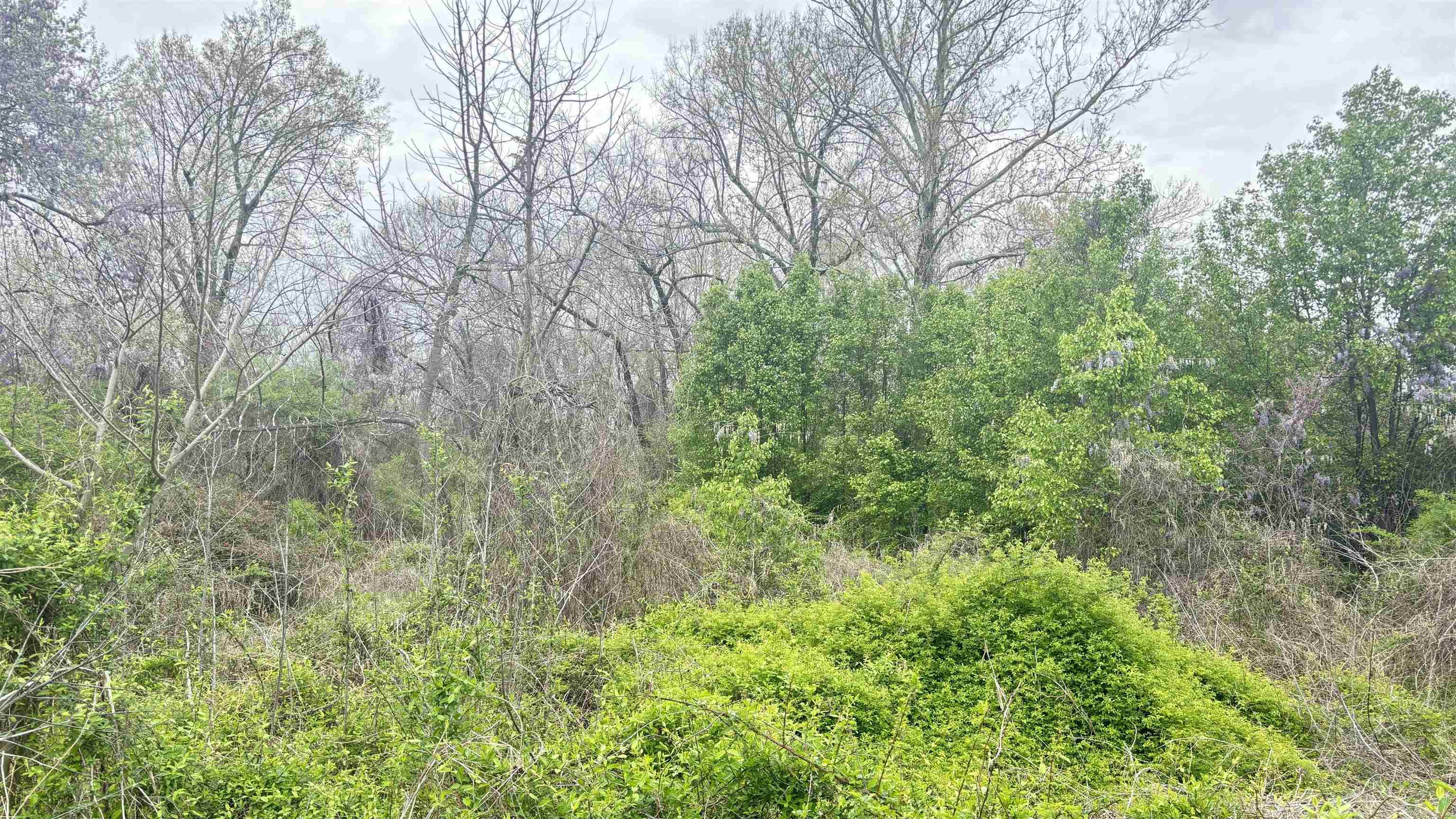 Tbd E 33rd Street Property Photo 1