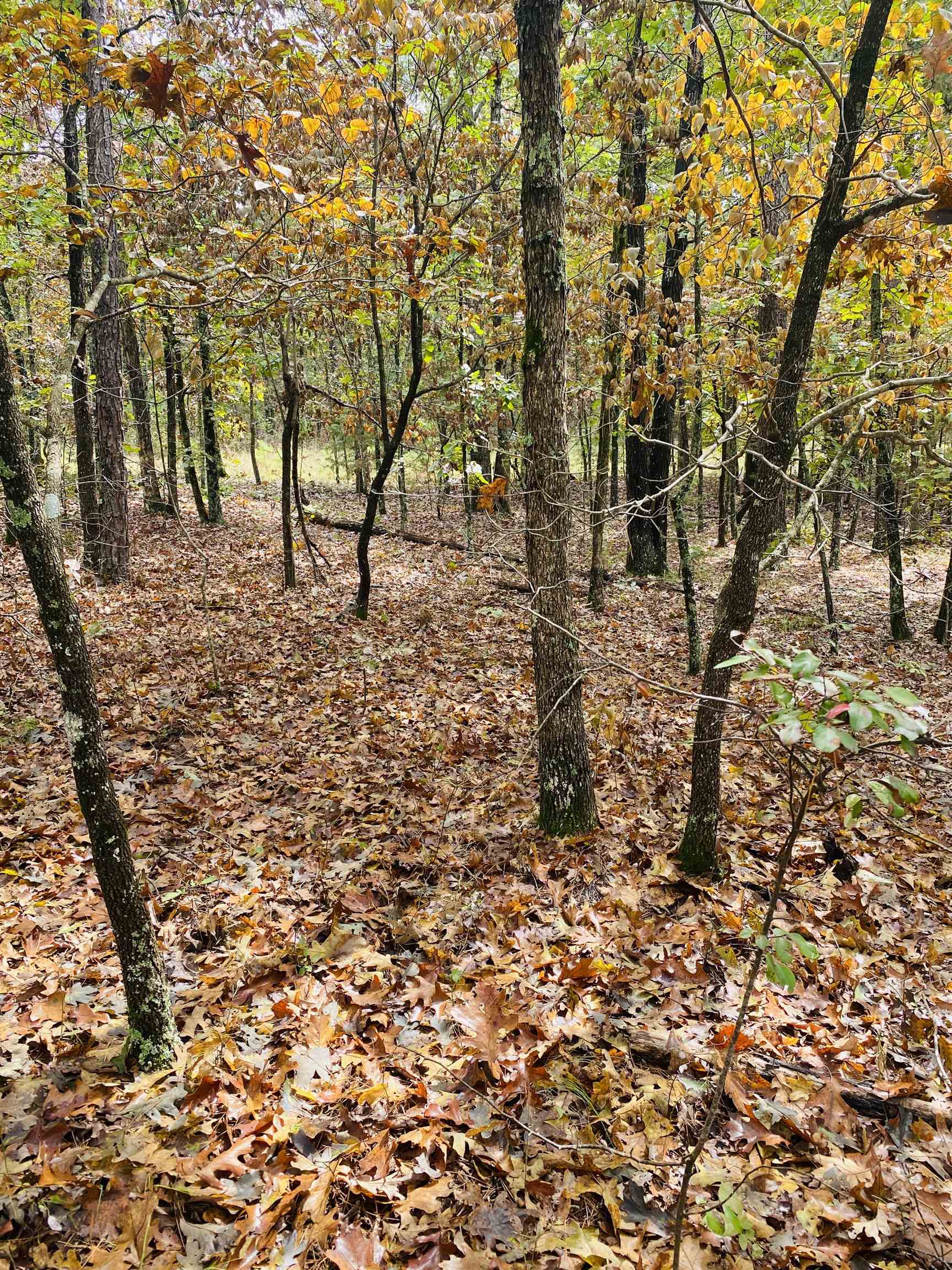150 Lofton Road Property Photo 1