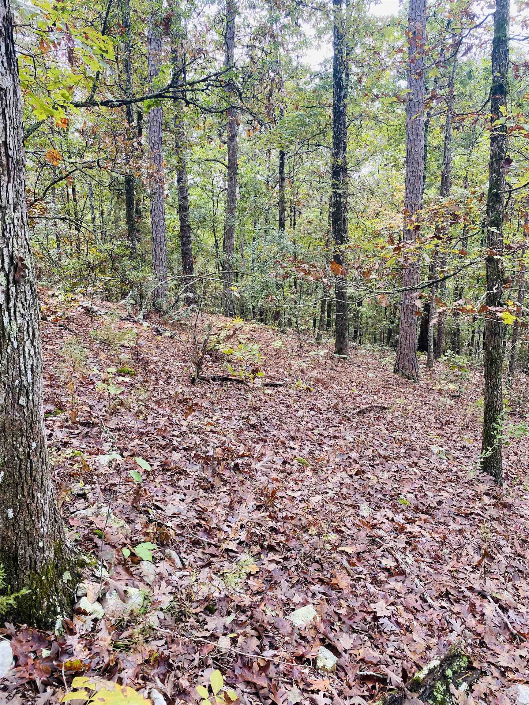 150 Lofton Road Property Photo 2
