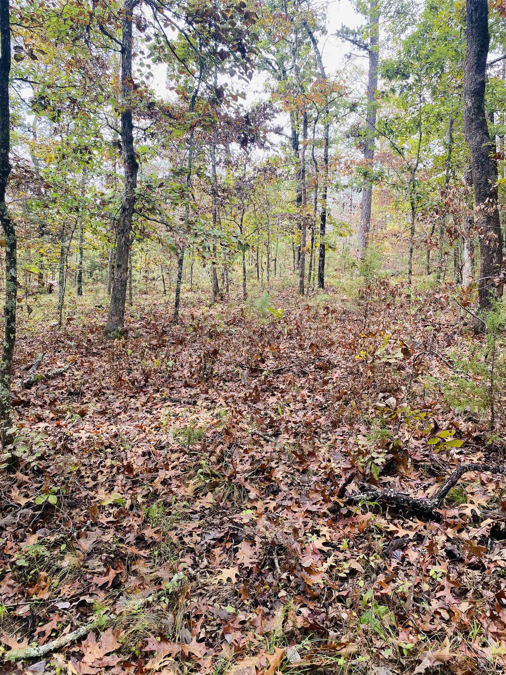 150 Lofton Road Property Photo 3